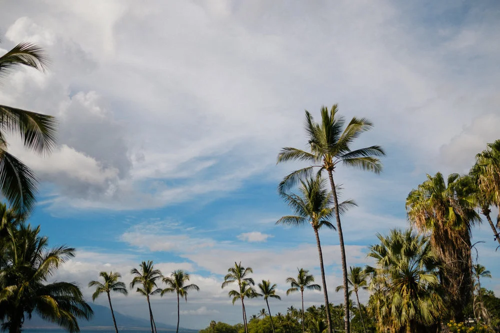 Same_Sex_Maui_Hawaii_Destination_Wedding_01.jpg