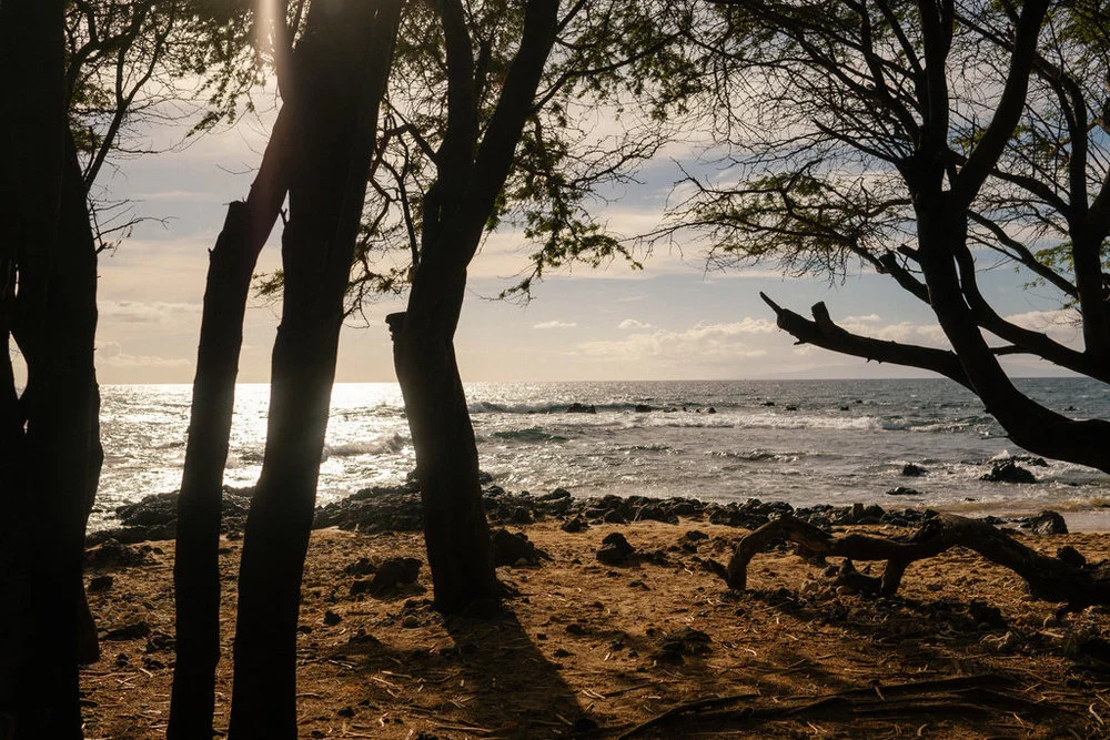 Same_Sex_Maui_Hawaii_Destination_Wedding_19.jpg