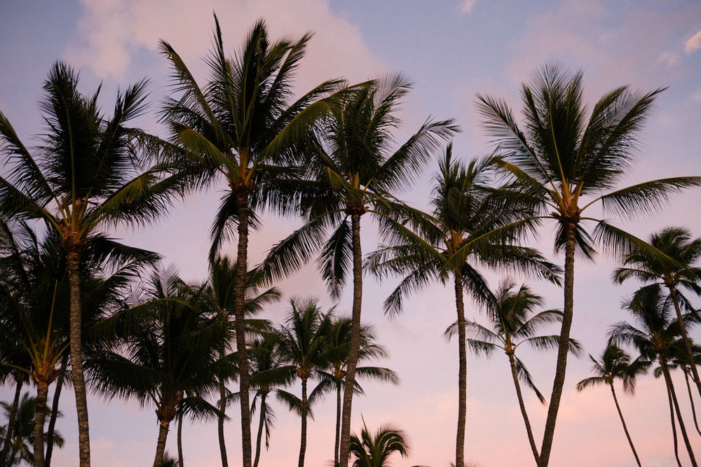 Same_Sex_Maui_Hawaii_Destination_Wedding_41.jpg