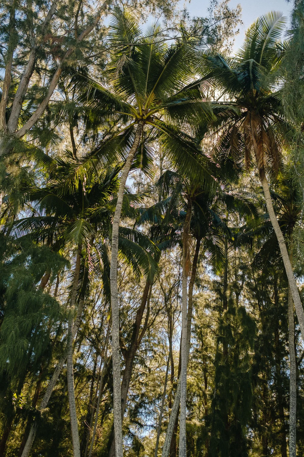 Honolulu_Hawaii_Elopement_Wedding_07.jpg