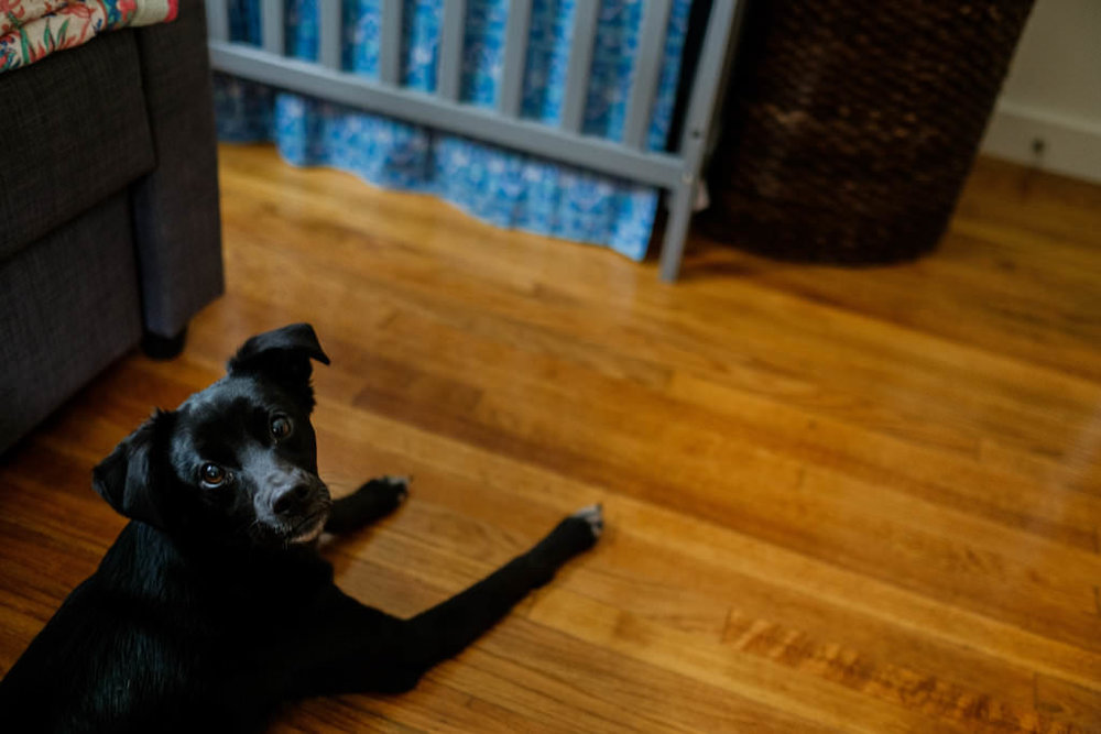 LA_Family_Photographer_03.jpg