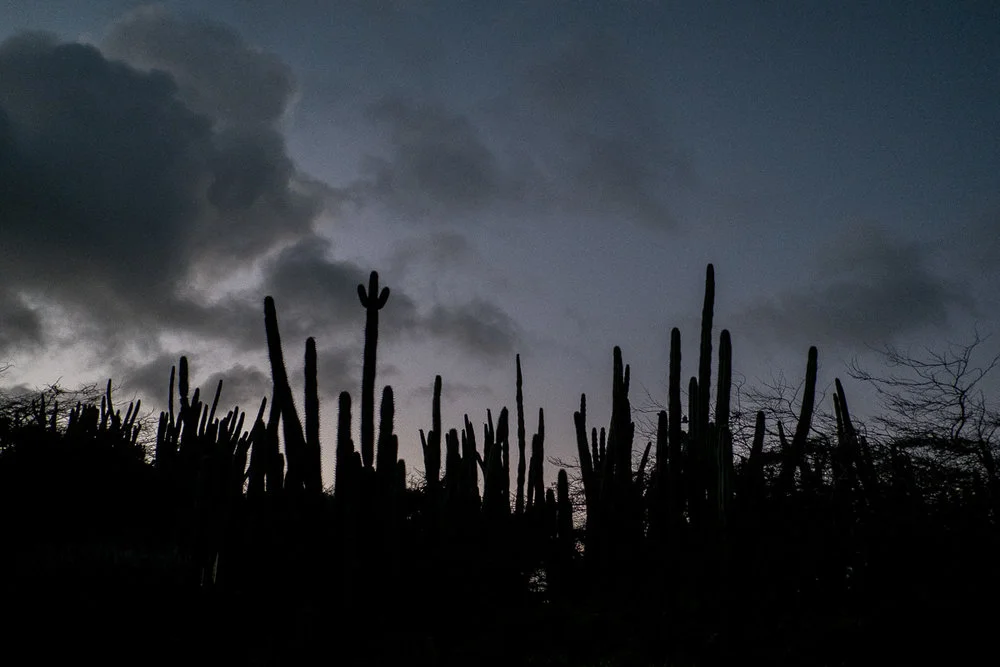 destination_wedding_photographer_aruba_24.jpg
