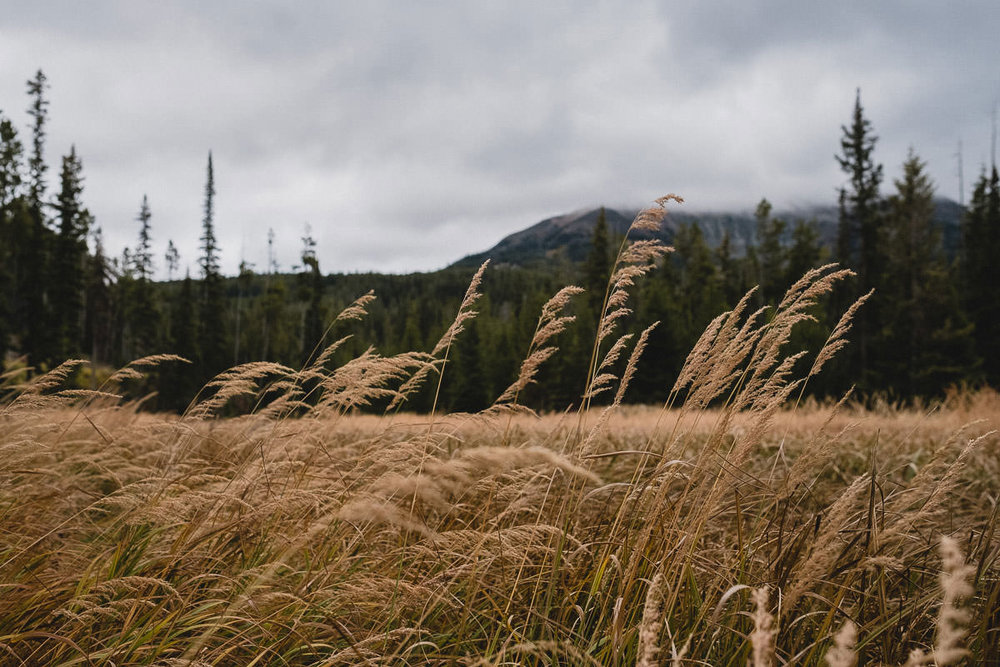 02_big_sky_montana_destination_elopement_photography.jpg