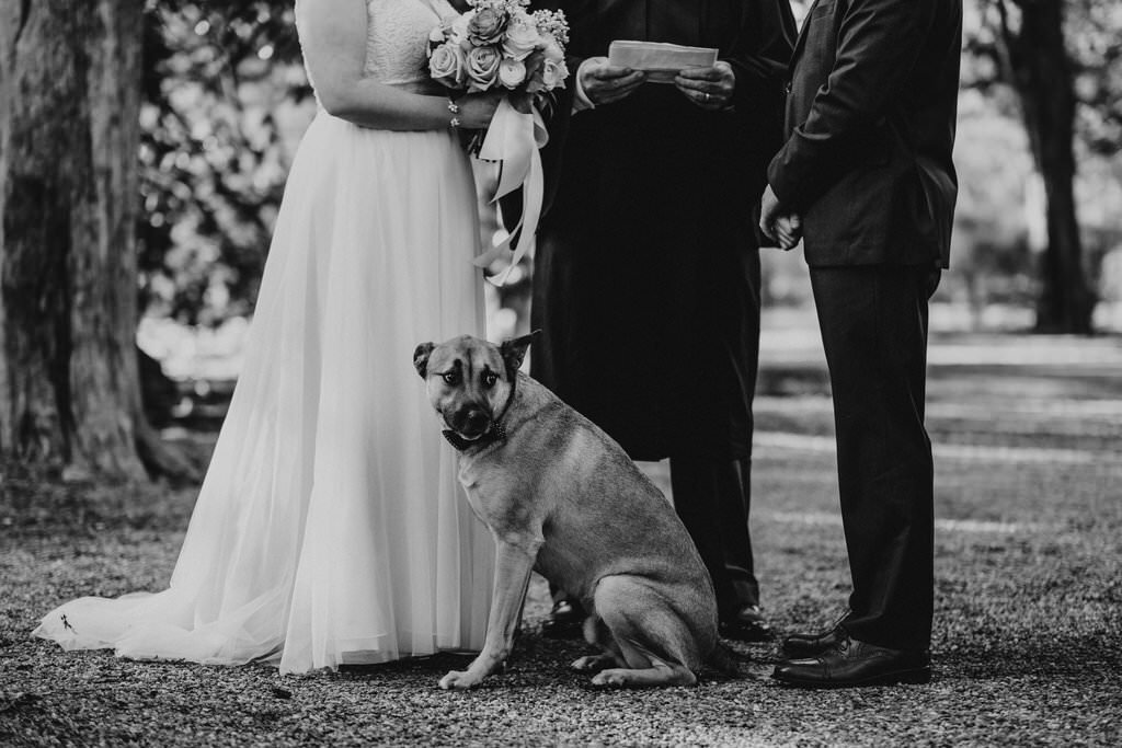 Oxford_MS_Wedding_Elopement_Rowan_Oak_06.JPG