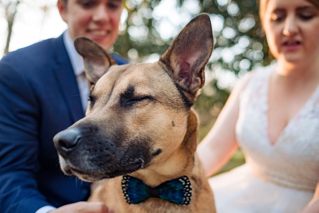 Oxford_MS_Wedding_Elopement_Rowan_Oak_11.JPG