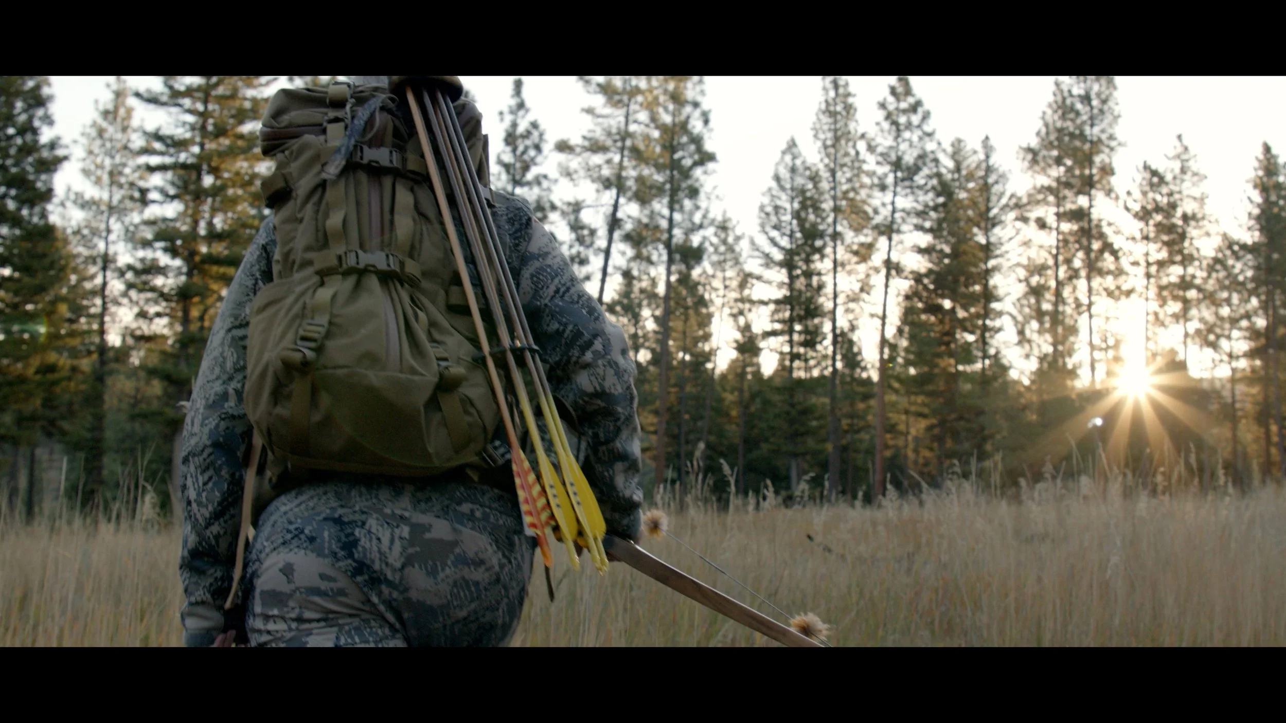  Cinematography Reel 2023