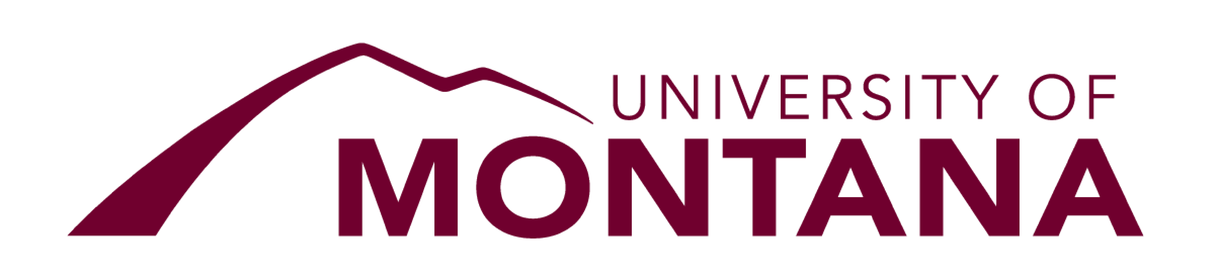 Logo 3