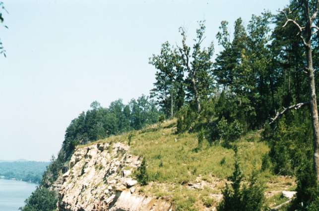 Western Highland Rim Western Valley Limestone Barren above Tennessee River, Clifton, Wayne Co., Tennessee