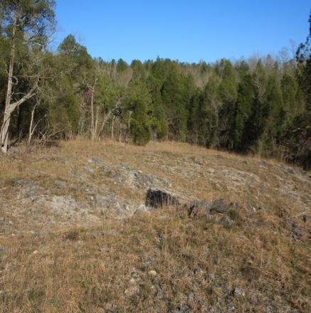 Southern Ridge and Valley Ketona Dolomite Barren, (“Ketona Glade”), Kathy Stiles Freeland Preserve, Bibb Co., Alabama