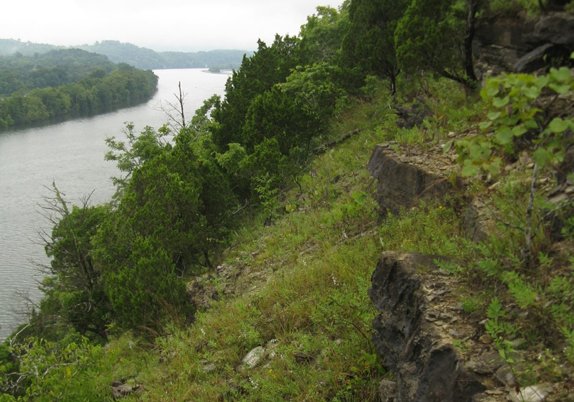Southern Ridge and Valley Limestone Barren, above Tennessee River, Meigs Co., Tennessee