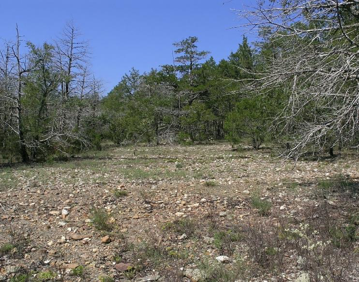 Ouachita Mountains Shale Glade, Arkansas