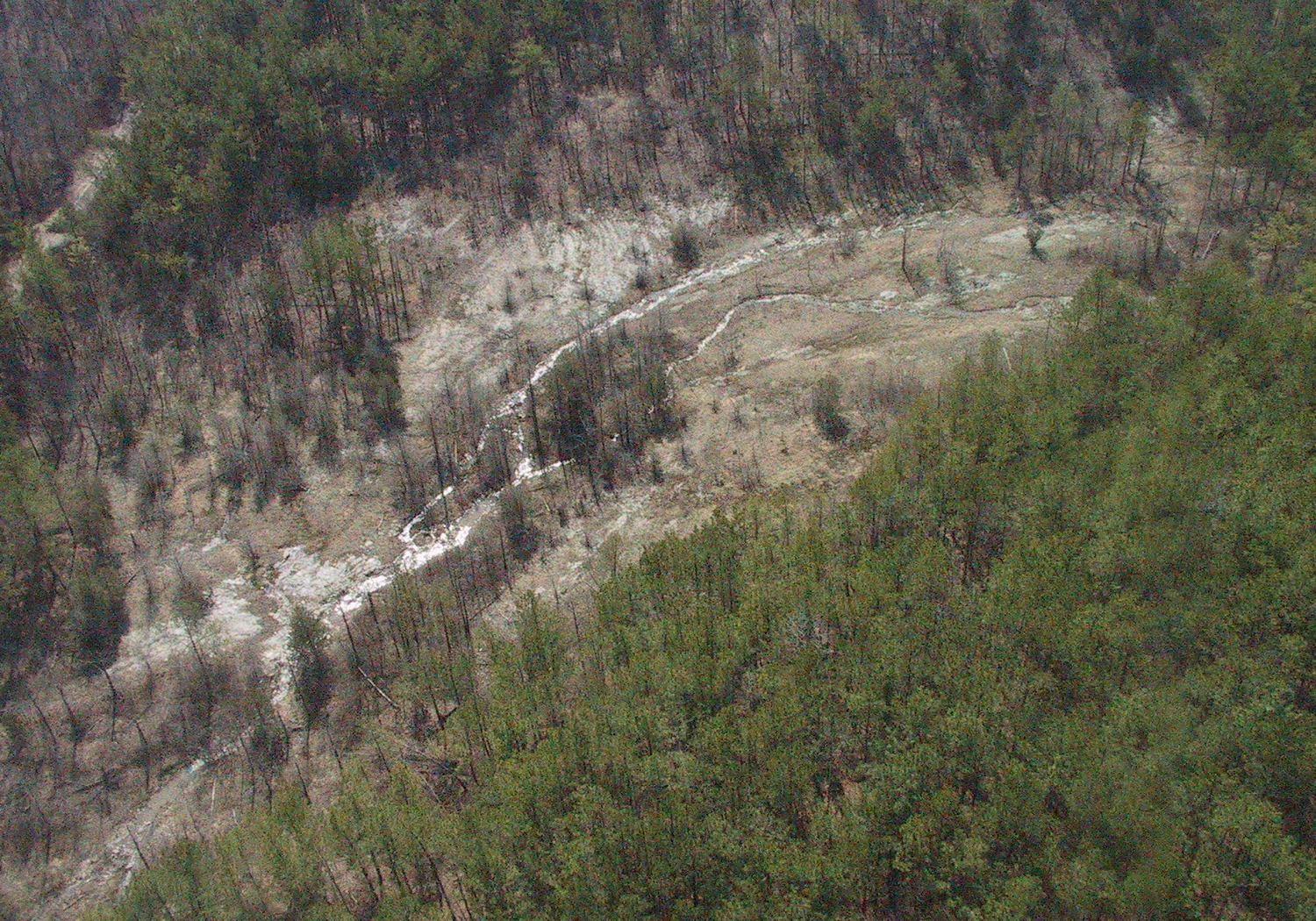 Ouachita Mountains Shale Seepage Glade, Middle-Fork Barrens Natural Area, Saline Co., Arkansas