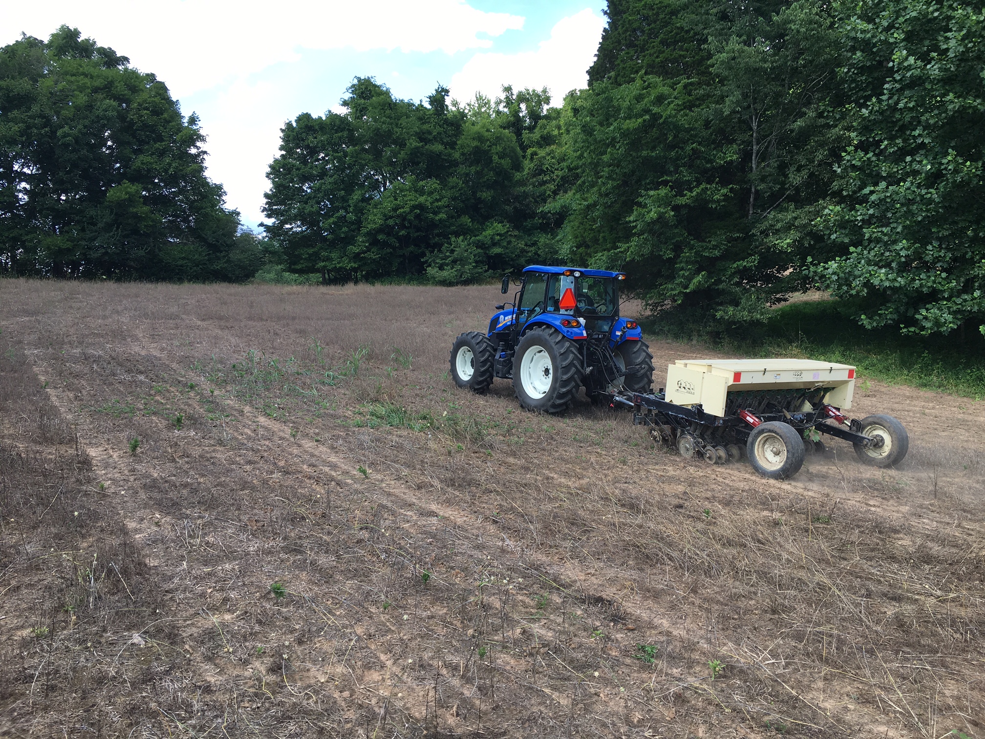 Working with our partners at Roundstone Native Seed, we are in the process of re-creating a high-quality Pennyroyal Plain Post Oak Savanna on 15-acres at Dunbar Cave State Park, Clarksville, Montgomery Co., Tennessee. In late May 2017 we planted two mixes of 50 species of regional genotype native prairie species. In coming years, we will work to restore this to the South's most diverse re-created grassland with a seed mix of 300 species.