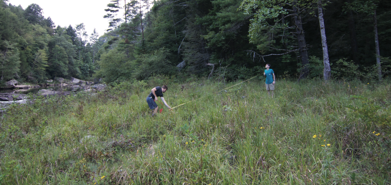 For many grassland systems in the South we still don't have basic information about floristic composition, community ecology, or importance as food or habitat to various animal species. Here, SGI grassland ecologist Devin Rodgers works with a student from Austin Peay State University to set up a vegetation plot.