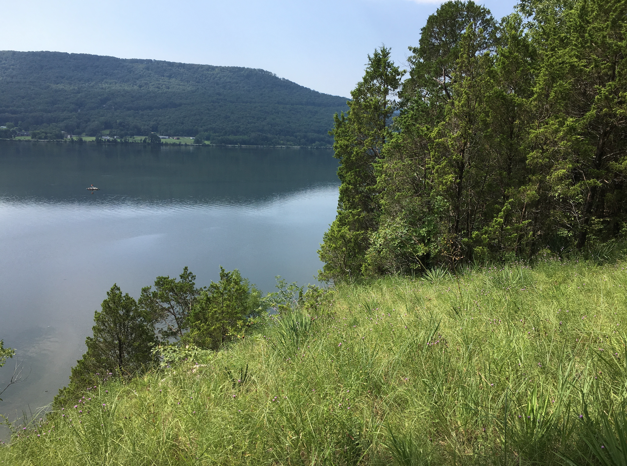 Cumberland Plateau Escarpment Limestone Barren, Sequatchie Valley, Little Cedar Mtn, Marion Co, TN