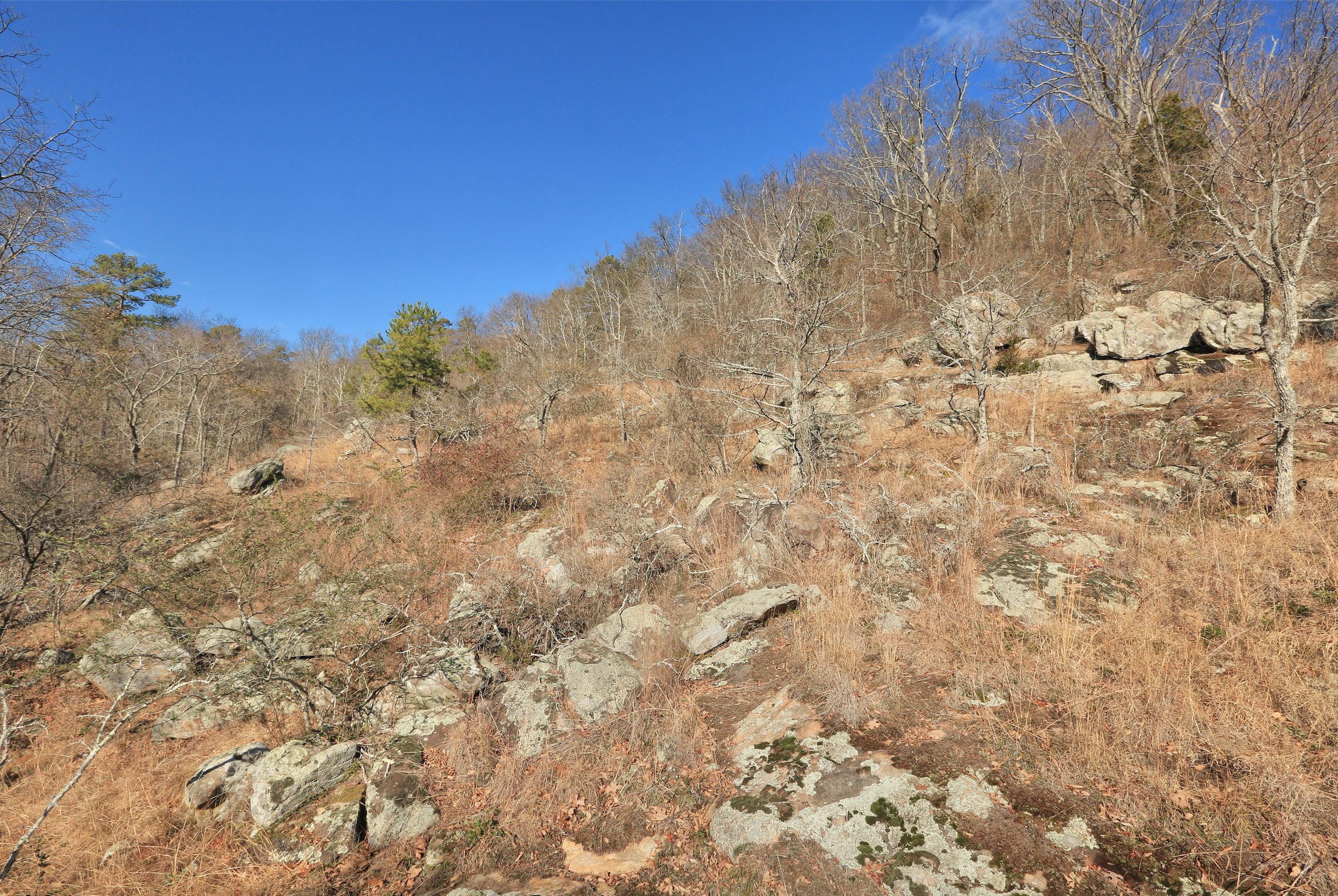 Piedmont Migmatite Barren, Kennesaw Mountain, Kennesaw Mountain National Battlefield Park, Cobb County, Georgia