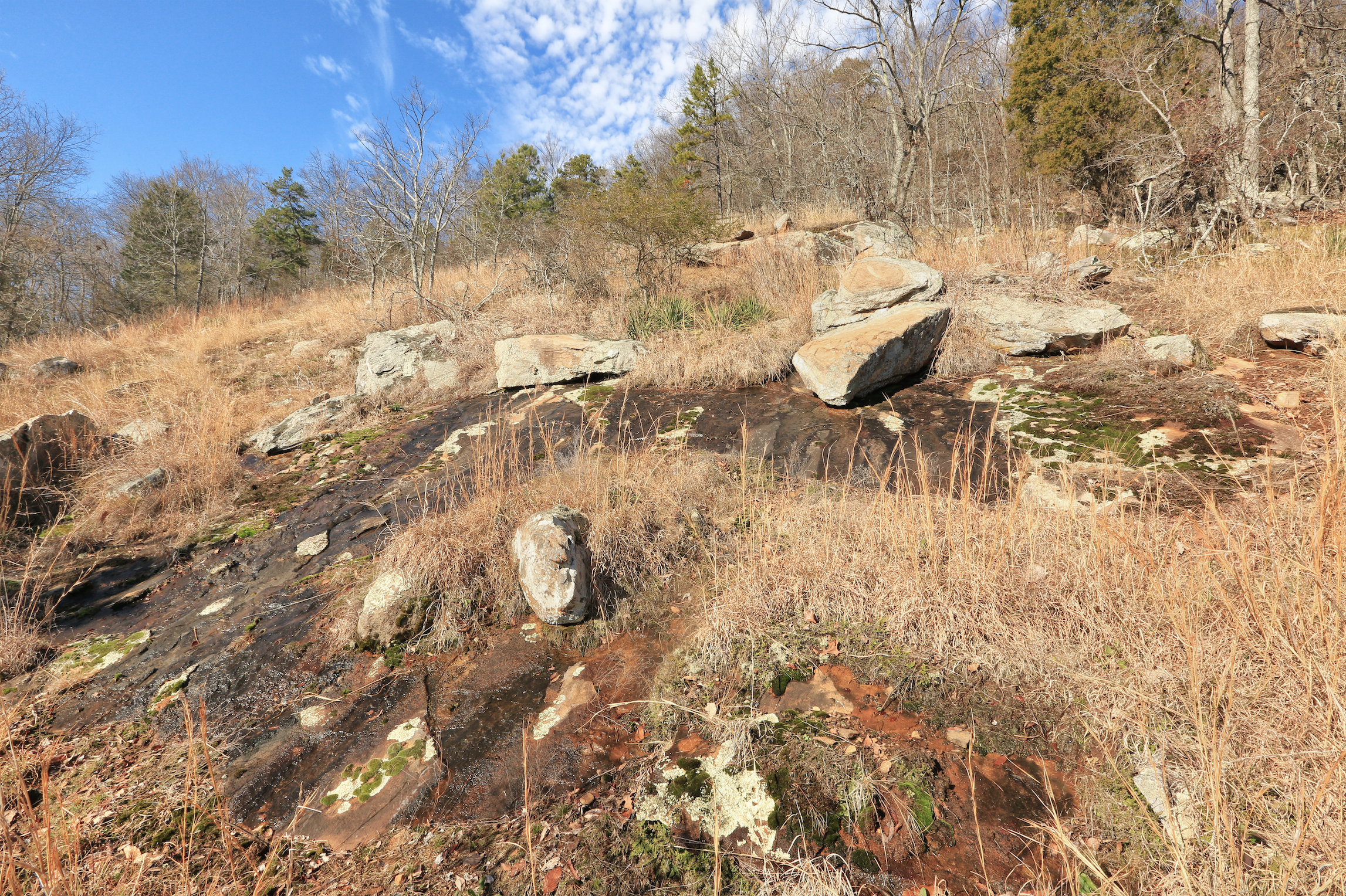 Piedmont Migmatite Barren, Kennesaw Mountain, Kennesaw Mountain National Battlefield Park, Cobb County, Georgia