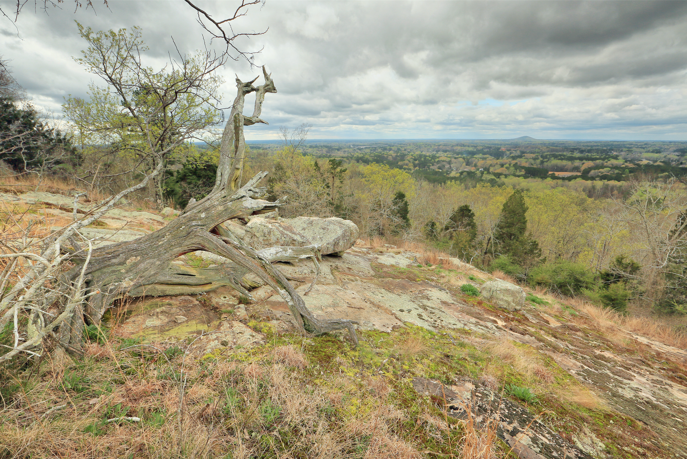 Piedmont Migmatite Barren, Kennesaw Mountain, Kennesaw Mountain National Battlefield Park, Cobb County, Georgia