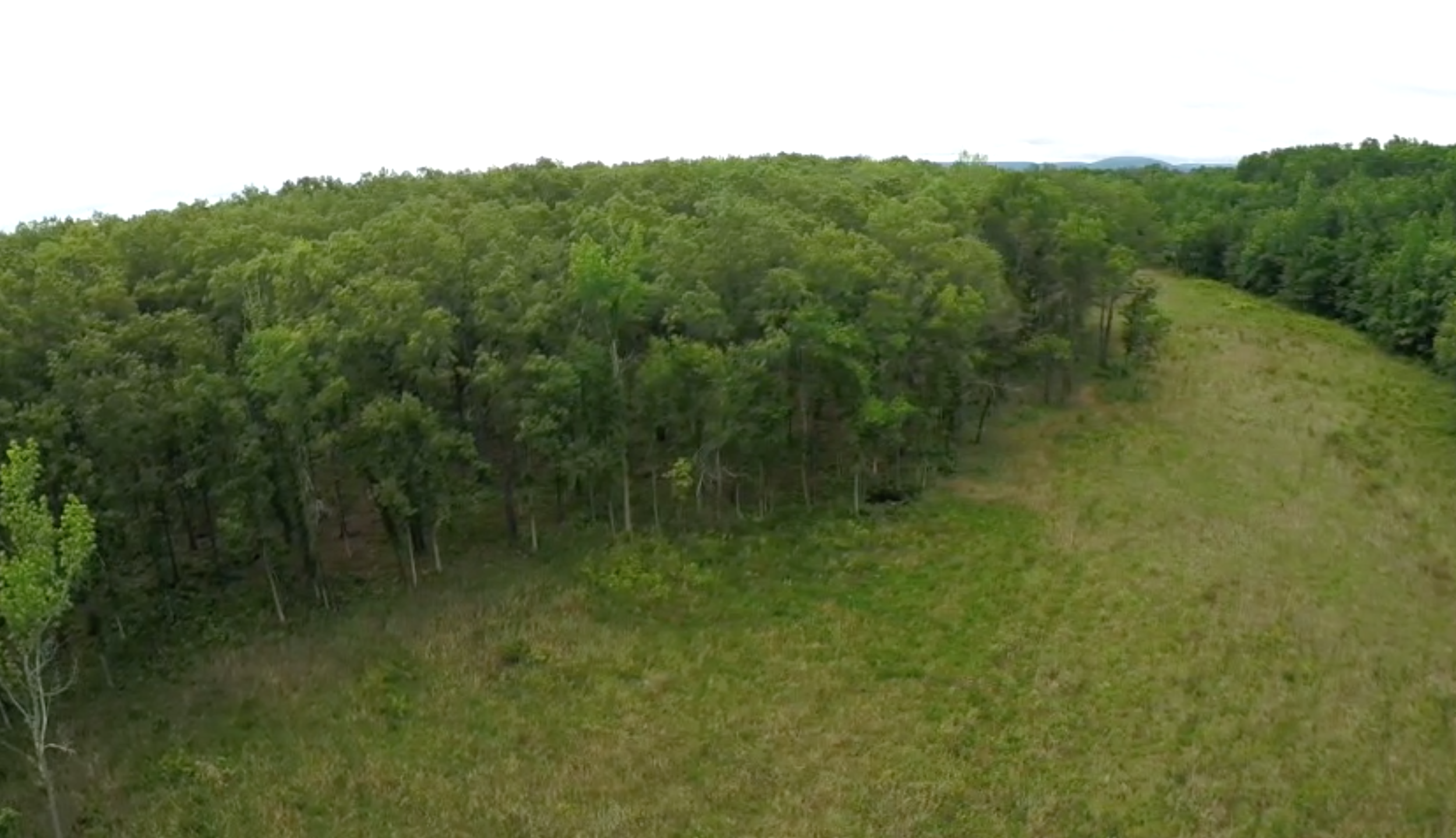Eastern Highland Rim Hardpan Prairie (and adjacent woodlands), May Prairie State Natural Area, Coffee Co., Tennessee