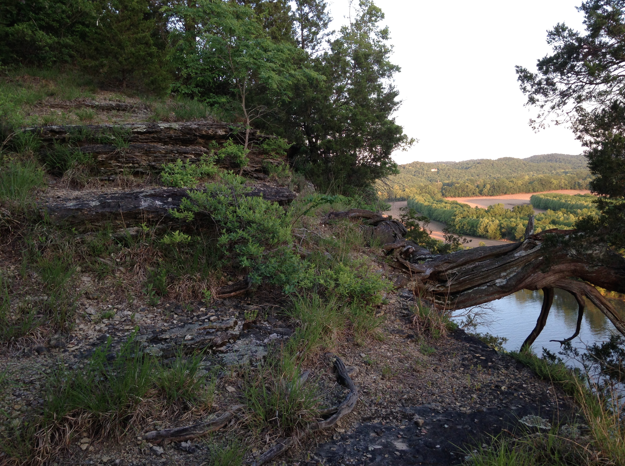 Western Highland Rim Clifftop Limestone Barren, overlooking Cumberland River, Davidson Co., Tennessee