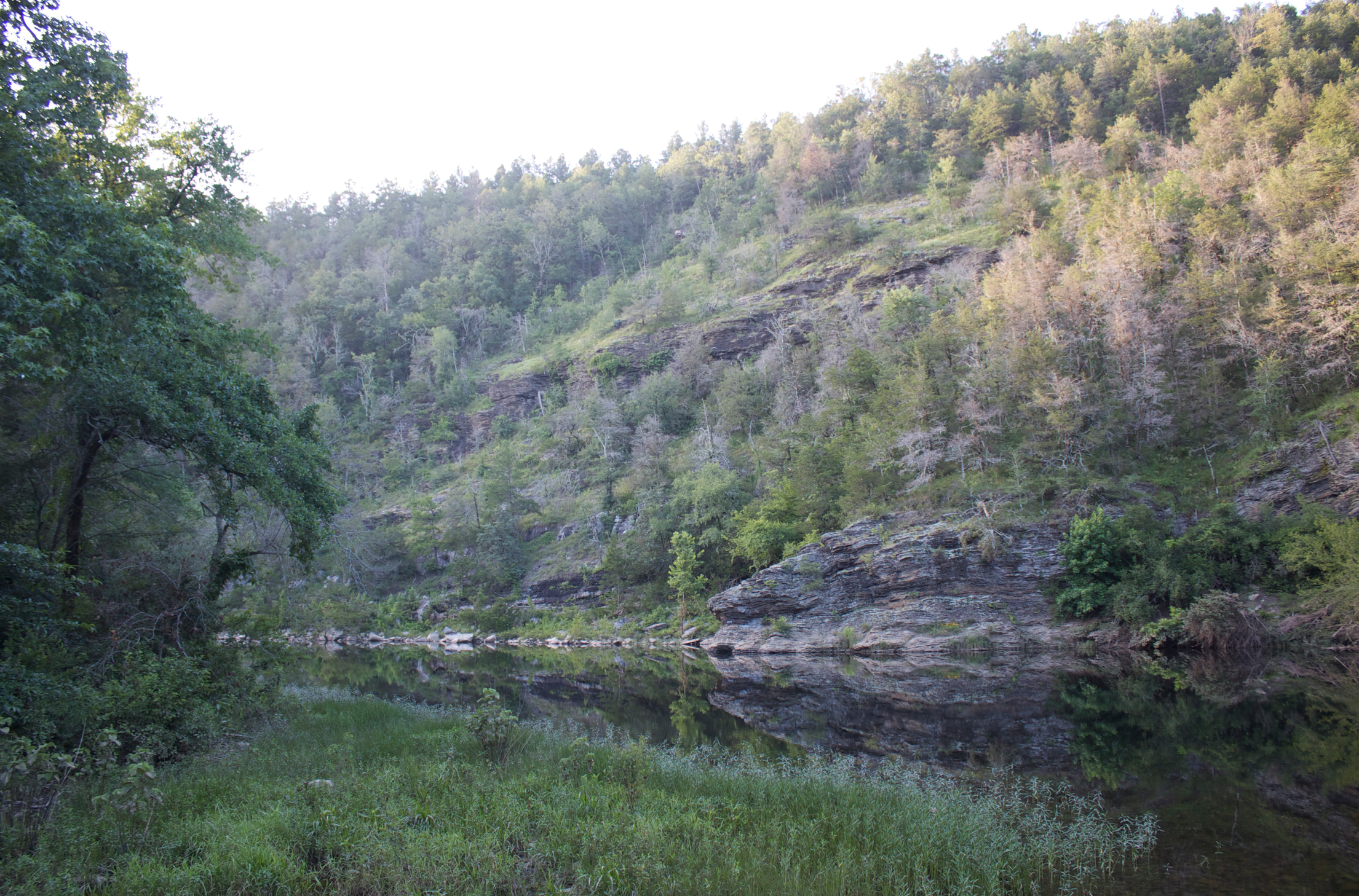 Ouachita Mountains Shale Barren & Woodland, above Rolling Fork River, Sevier Co., Arkansas