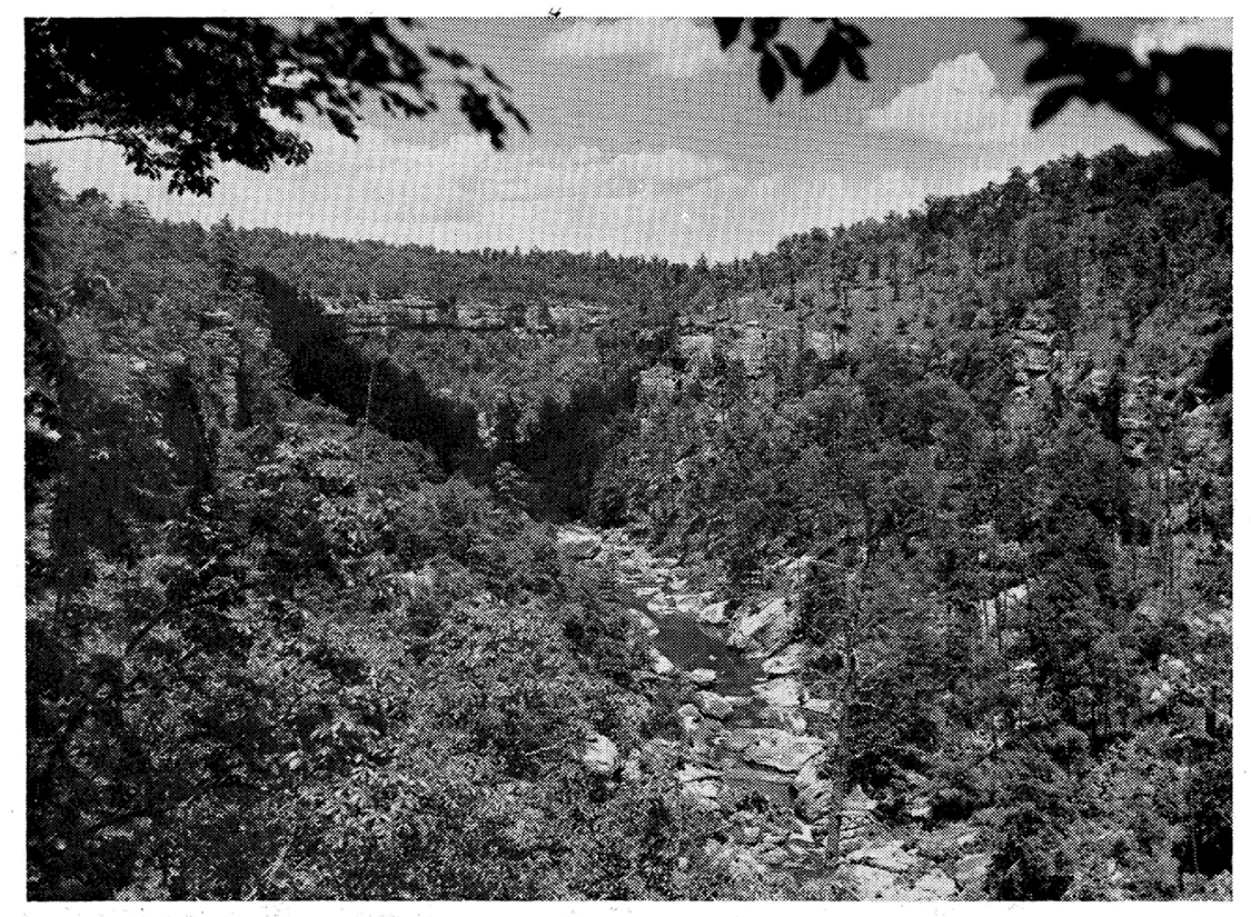 Old picture of Daddy's Creek Gorge, Morgan Co., TN (Catoosa Wildlife Management Area) in the 1950s. Riverscour grasslands occur in the depths of the gorge along the boulder-strewn riverbanks. Note the presence of open pine-oak savanna on top of the cliff at right.