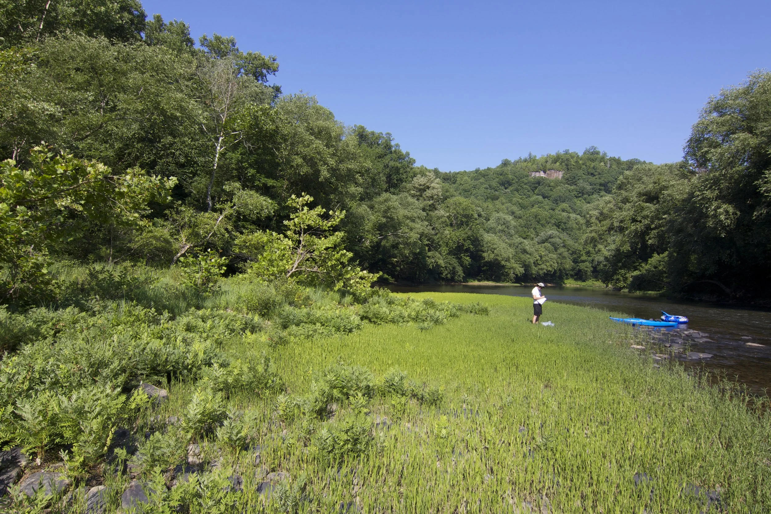The grassland along this riverbank can't be seen in this photo. Just to the left of Chris Mausert-Mooney the riverbank rises just a few feet. Beyond the border of shrubs and stunted trees at left is where we find the riverscour grassland. Photo credit: Dwayne Estes.