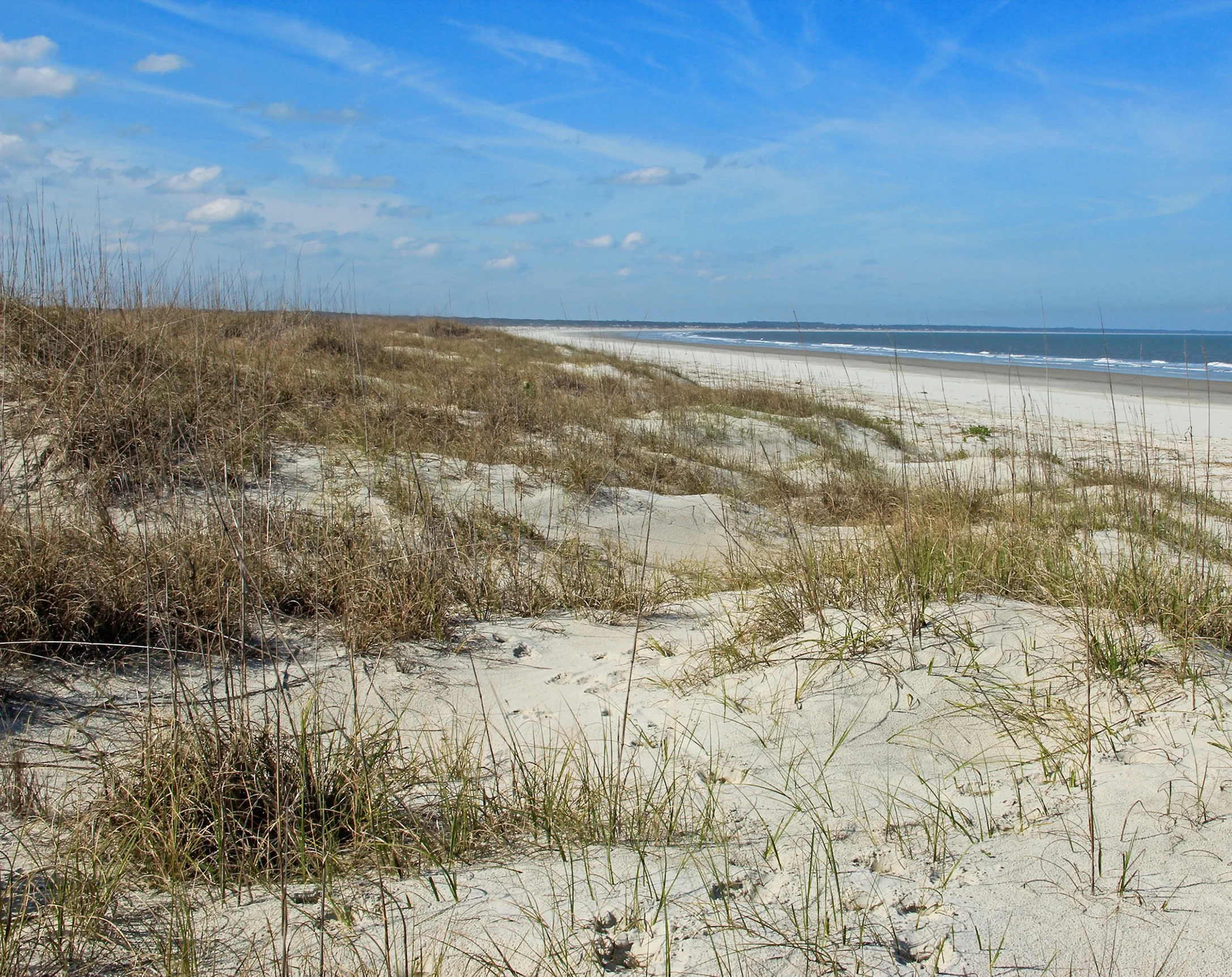 Atlantic Coastal Plain dune grassland, Candler Beach, Cumberland Island, Cumberland Island National Seashore, Camden County, Georgia