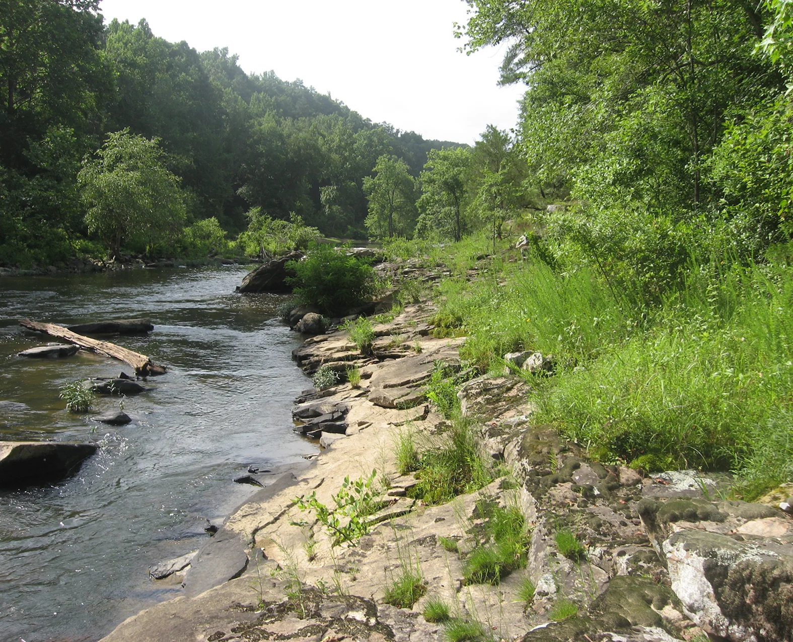 S Table Plateaus xeric sandstone riverscour (locust fork).jpg
