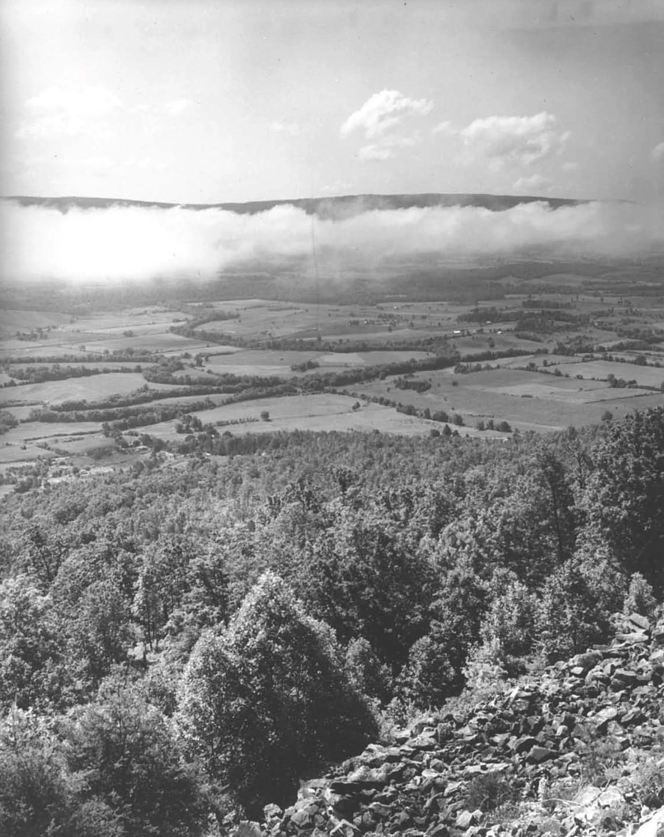 Credit: Tennessee State Library & Archives