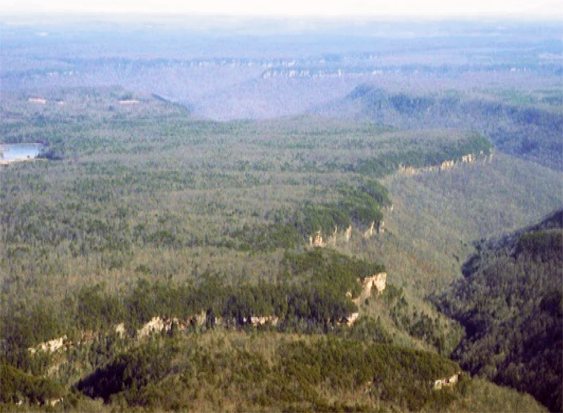 Savage Gulf.jpg