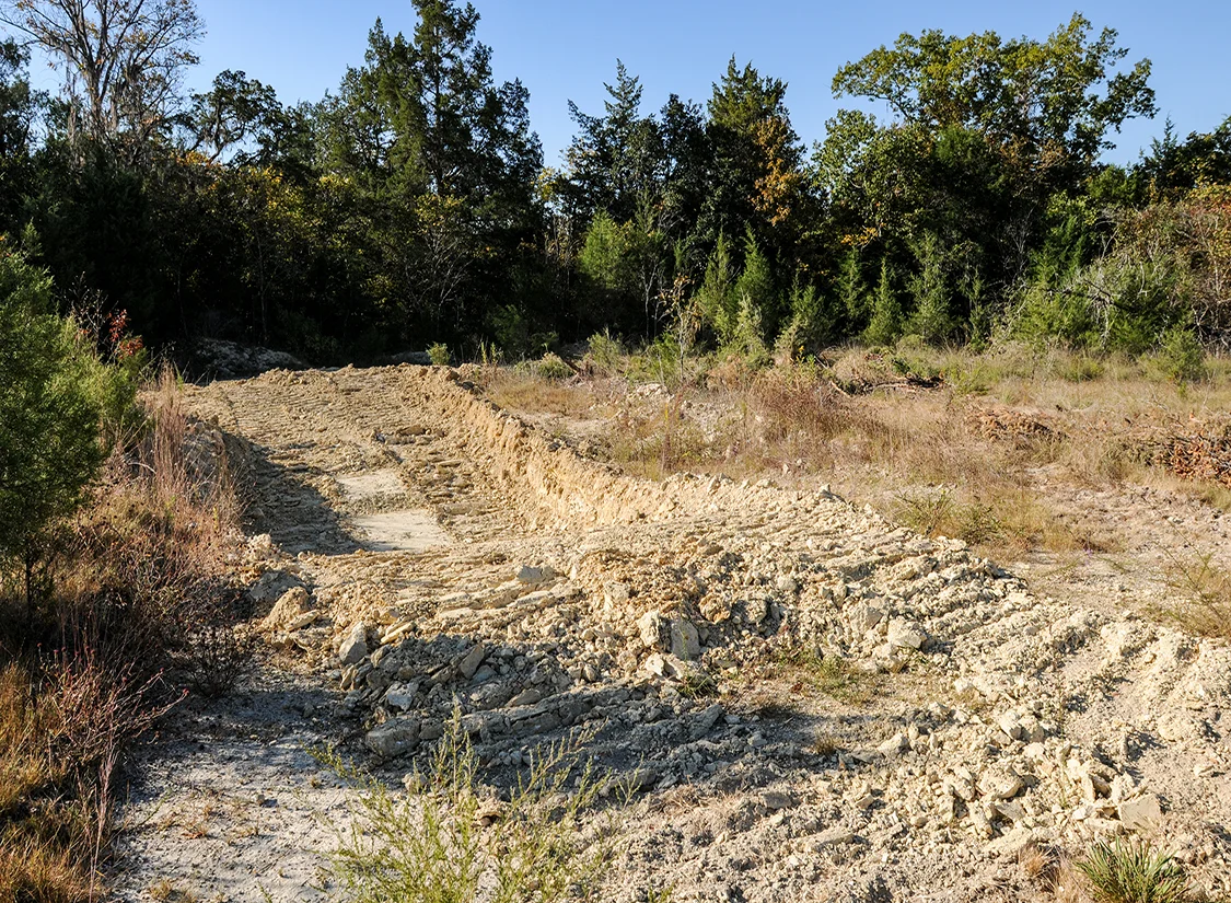 East Gulf Coastal Plain Limestone Barren, Jackson County, FL.