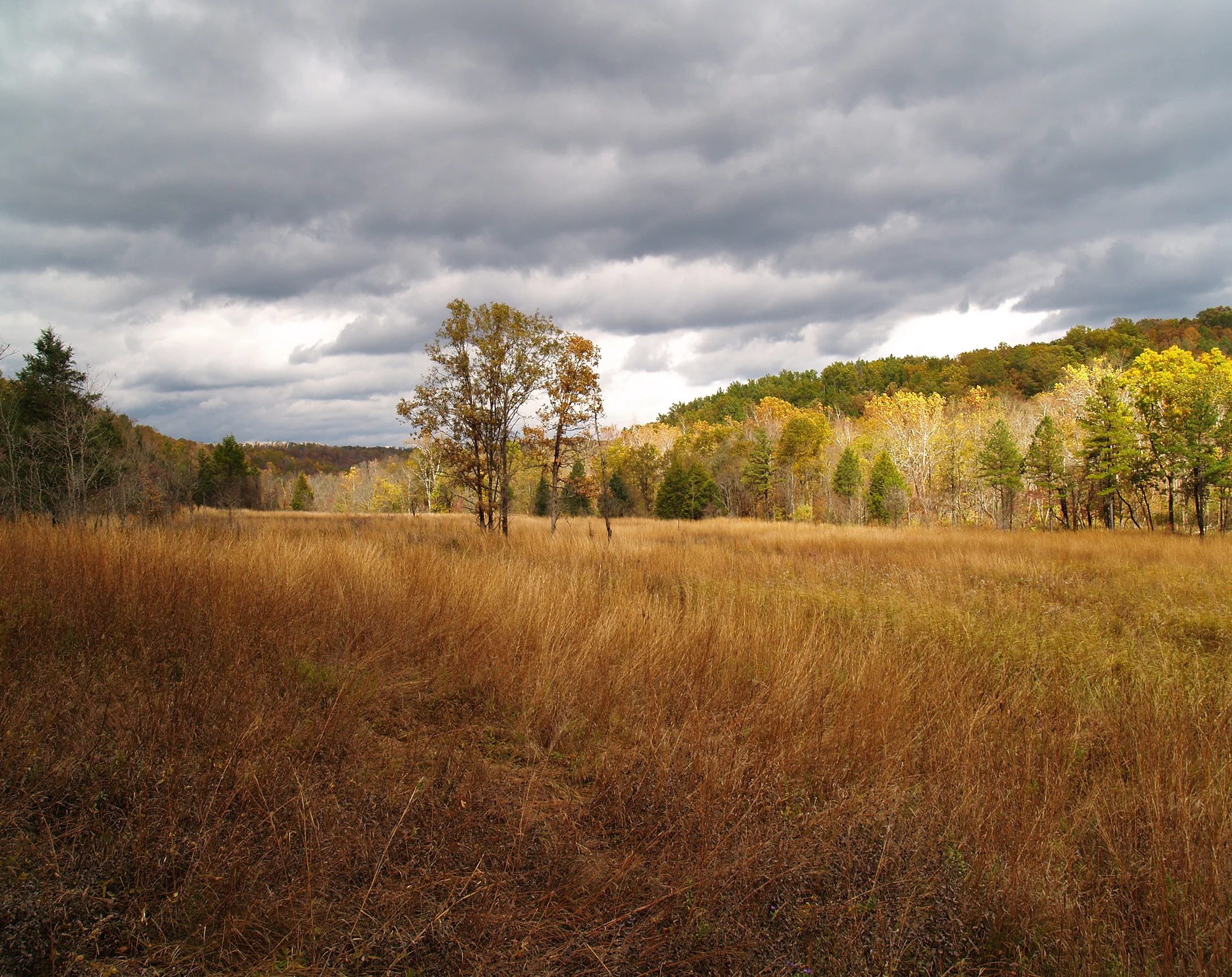Ozark Highlands Calcareous Fen, "Grasshopper Hollow Fen," Mark Twain National Forest, Reynolds Co., Missouri