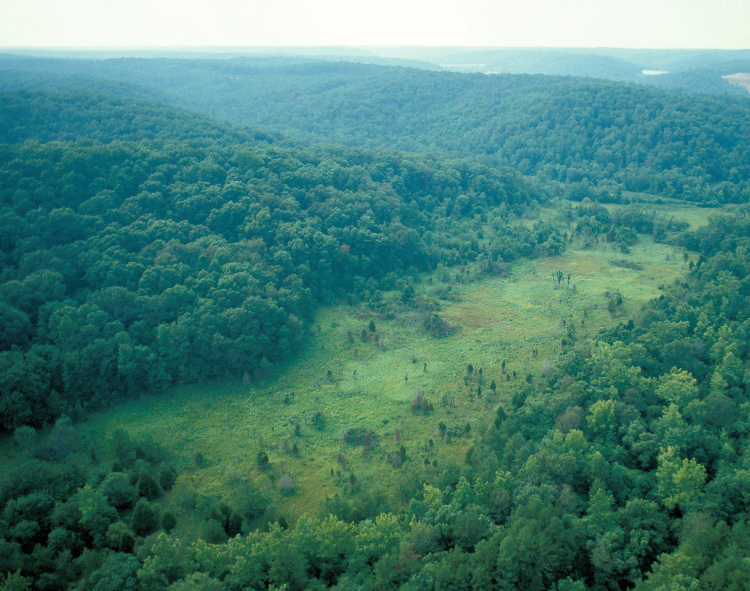Ozark Highlands Calcareous Fen, "Grasshopper Hollow Fen," Mark Twain National Forest, Reynolds Co., Missouri