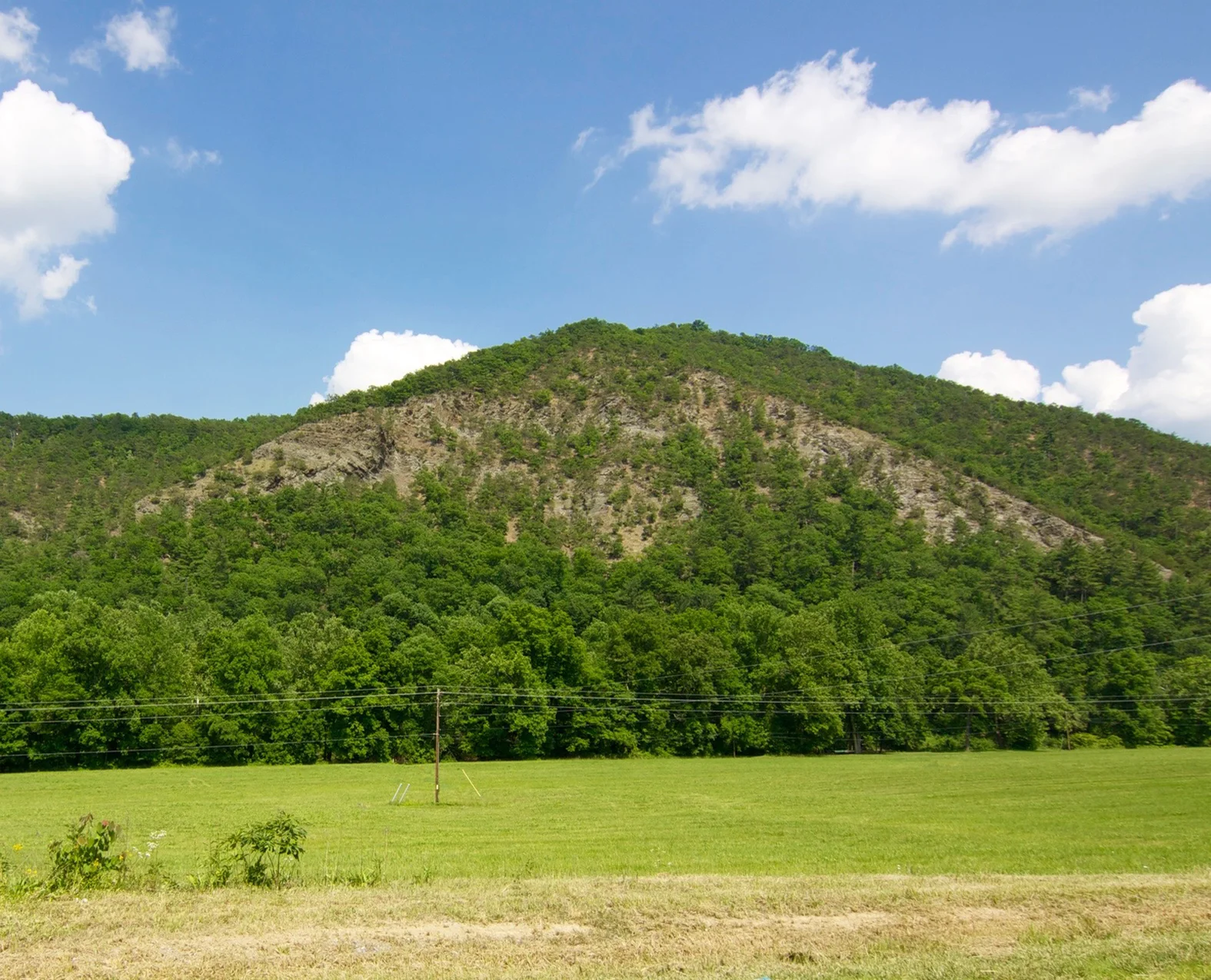 Central Ridge and Valley Shale Barren & Woodland, Cowpasture River Valley, Virginia
