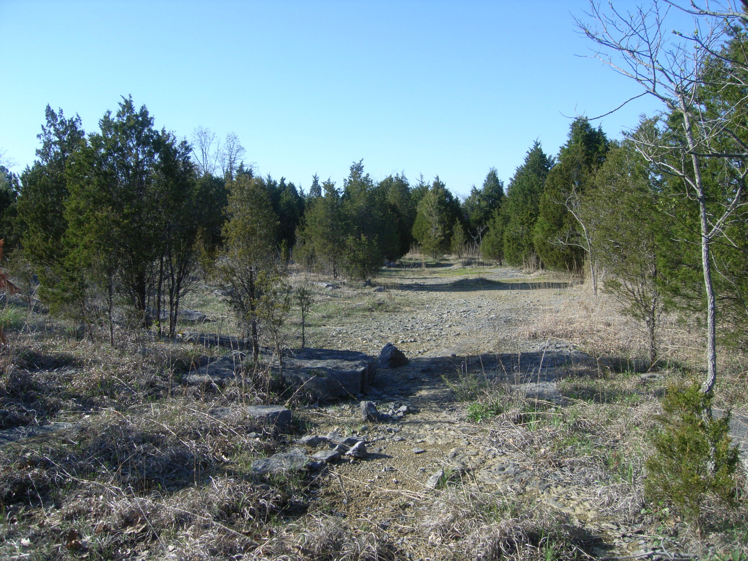 Crawford Hills Limestone Barren, Katie White Barrens, Logan Co., Kentucky