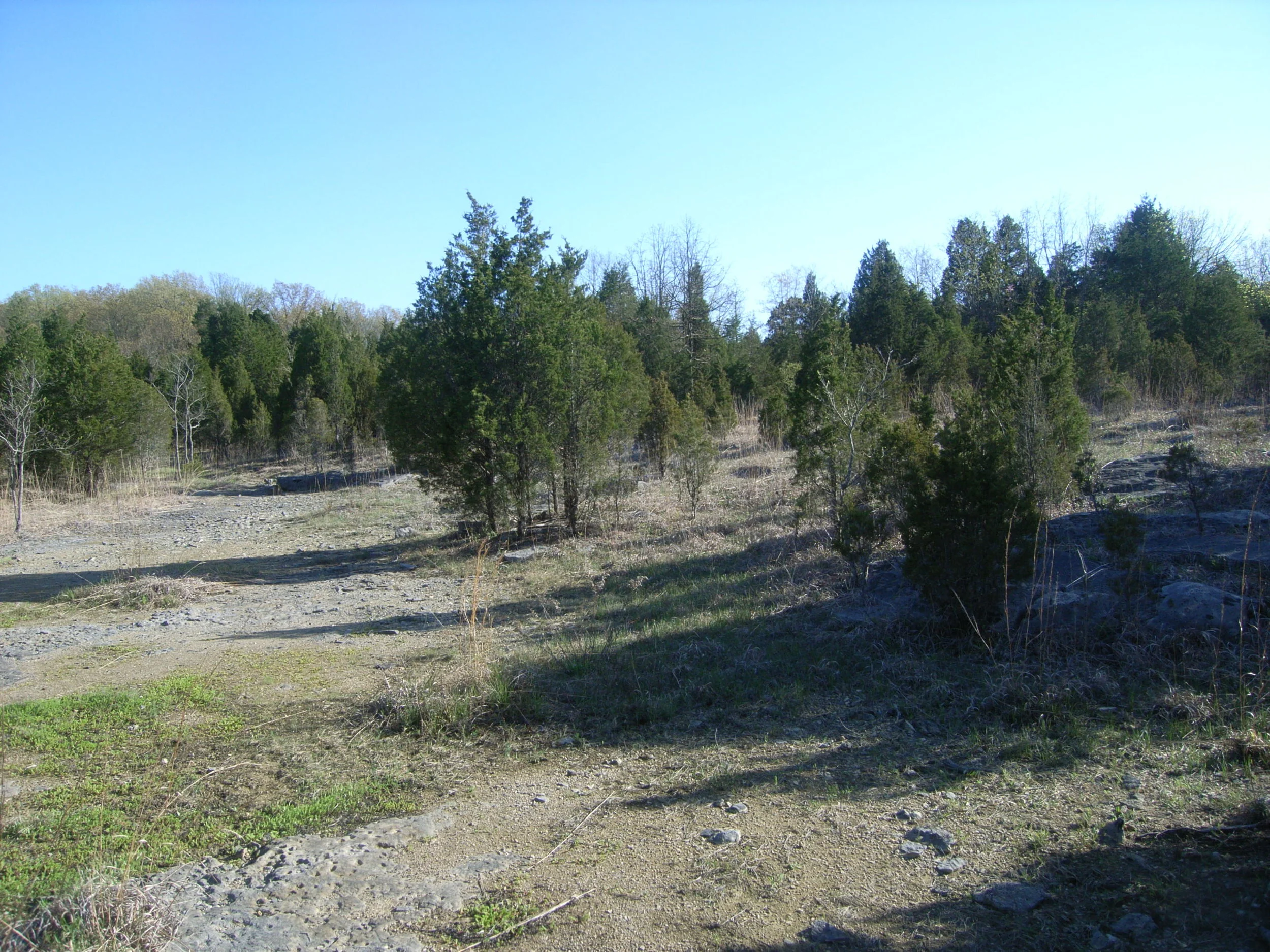 Crawford Hills Limestone Barren, Katie White Barrens, Logan Co., Kentucky