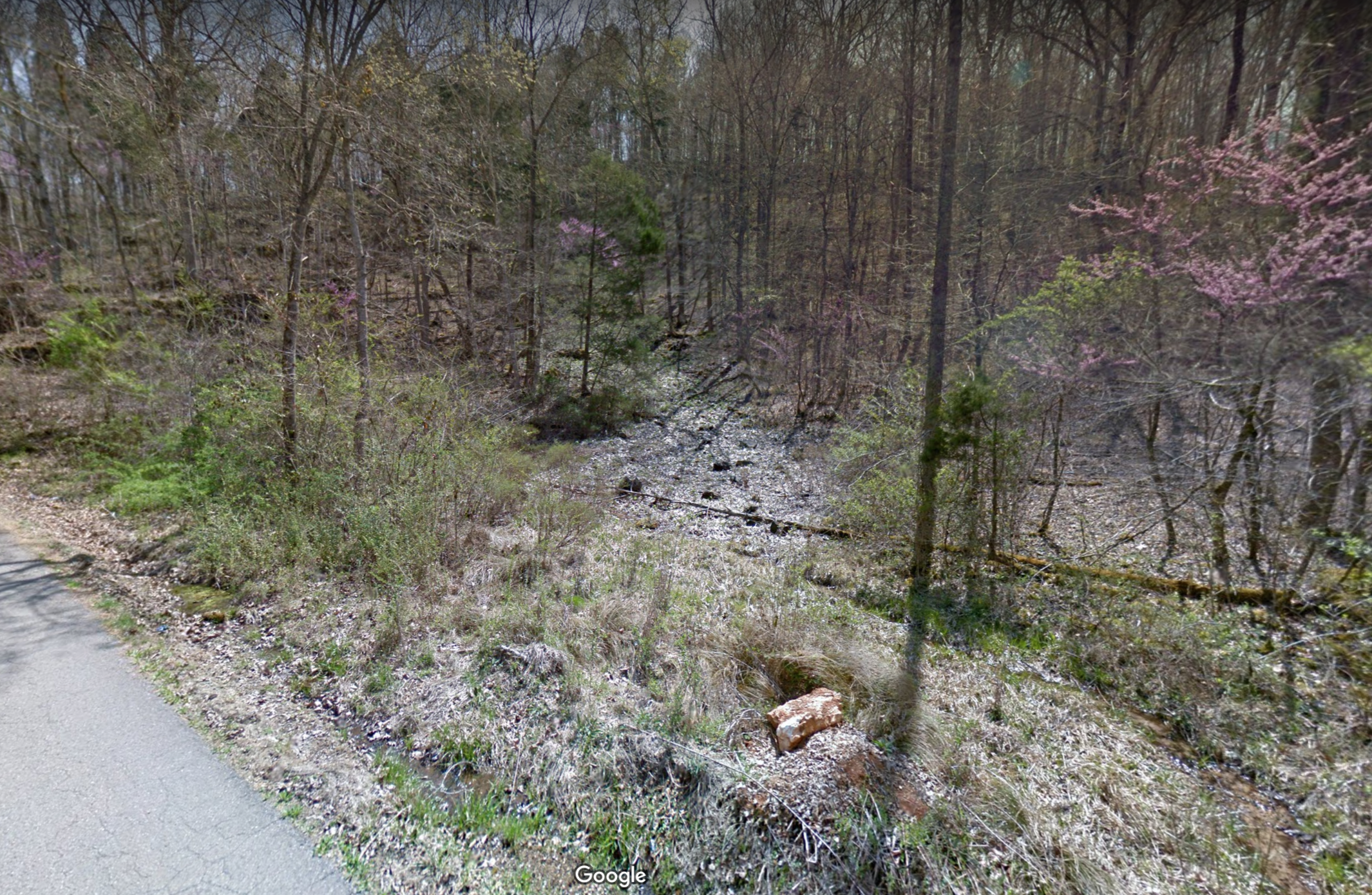 Google Earth street view image of the initial seep discovered by Aaron Floden in Campbell Co., Tennessee. He found this seep first by using Google Earth street view to do a "virtual backroad survey." Credit: Google Earth.