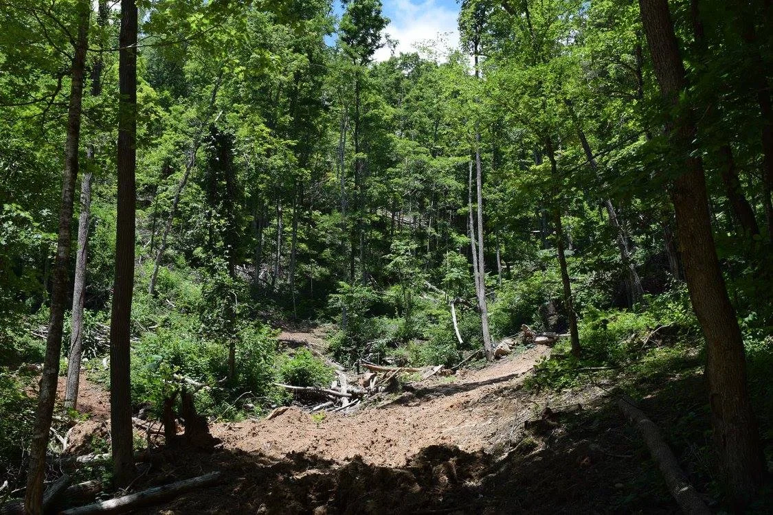 This open gap in the forest was once home to a thriving seep but has been destroyed by bulldozing. The small size of these Southern Ridge and Valley Dolomite Seeps makes them susceptible to these activities and because they are so tiny it doesn't take much to wipe them out. Credit: Ed E. Schilling.