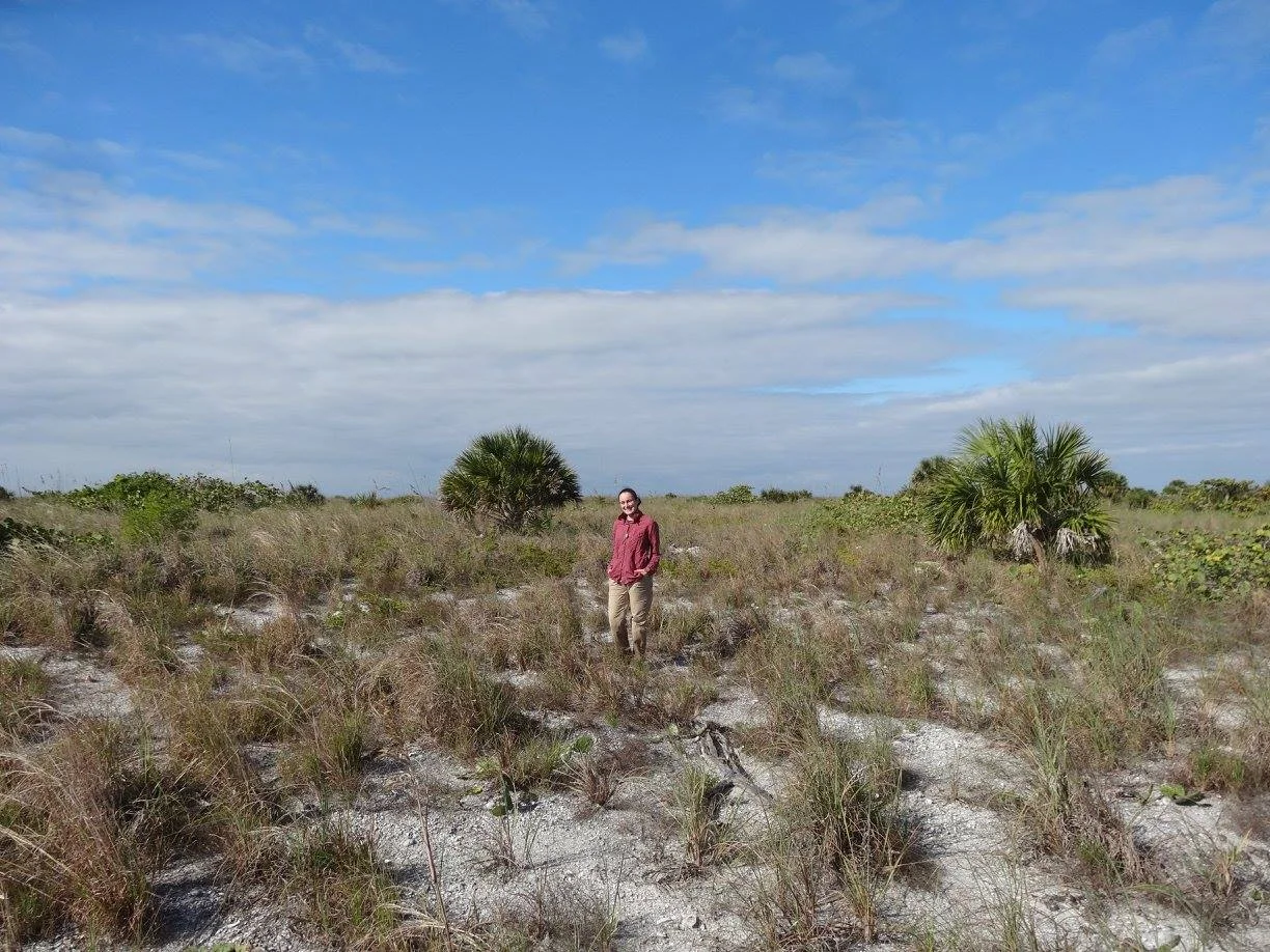 Peninsular Florida Coastal Dune Palm Savanna, Cayo Costa, Lee Co., FL