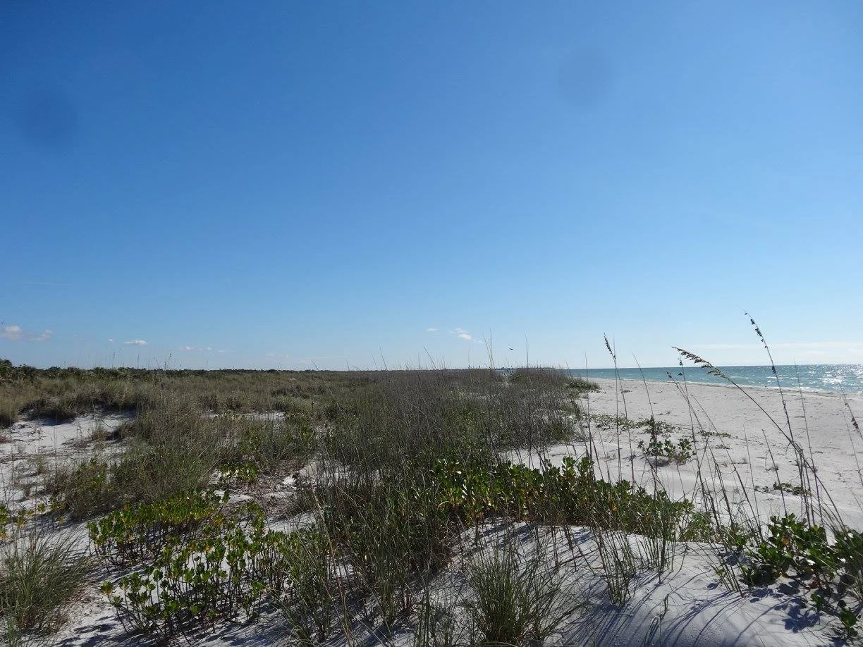 Peninsular Florida Coastal Dune Grassland, Cayo Costa, Lee Co., FL