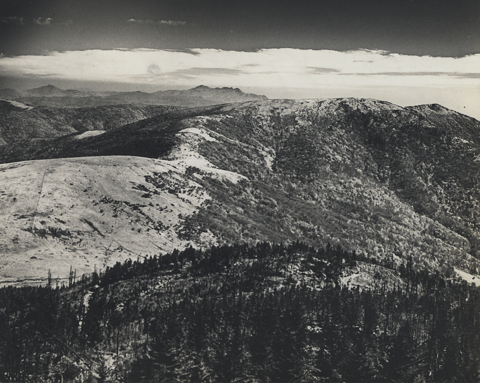 Roan Mountain.png