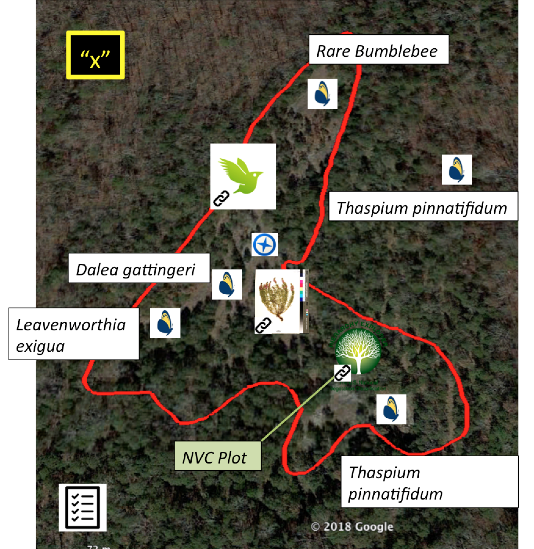NatureServe's Butterfly Icon = Rare Species Records; NVC Tree Icon = Vegetation Plots; Panoramio Symbol = Photos; iNaturalist Icon = iNaturalist record; "x" symbol = historical quote; Checklist icon = Site Notes and Species Checklists