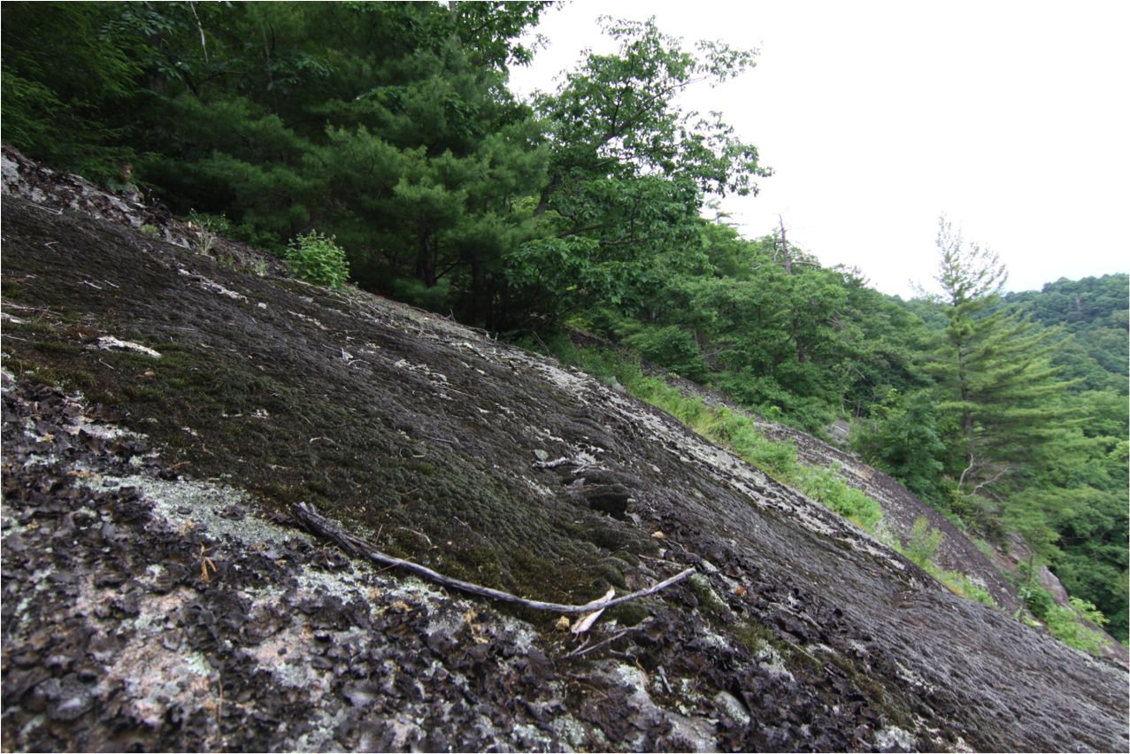 granite.png