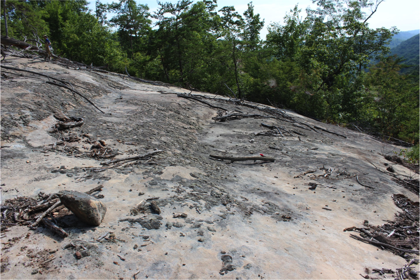 Cumberland Plateau Sandstone Outcrop, Big South Fork National Recreation Area, Fentress Co., TN