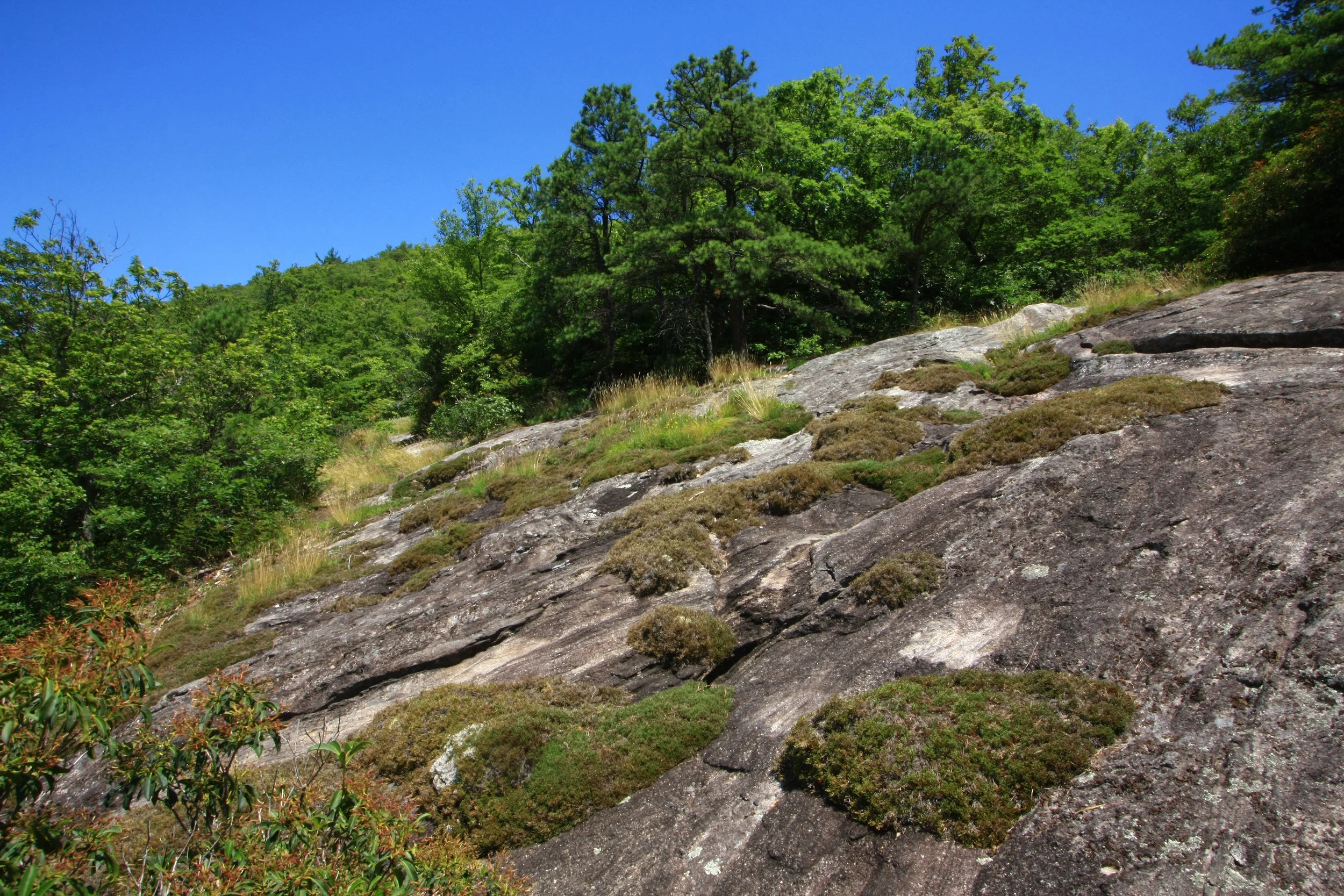 Southern Blue Ridge Gneiss Outcrop, Scaly Mountain, Nantahala National Forest, Macon County, North Carolina