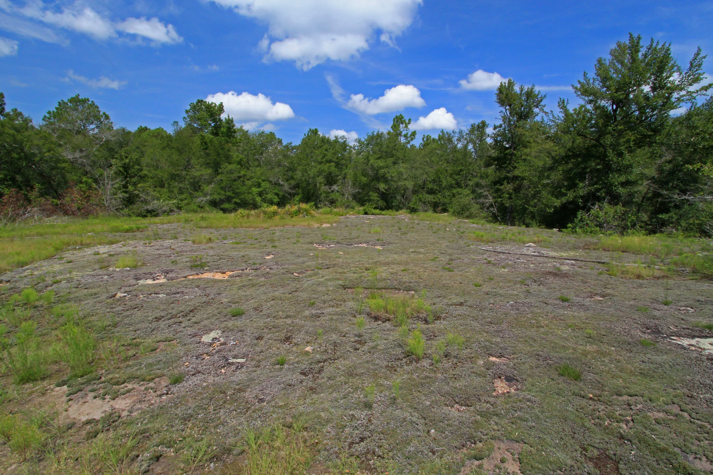 Atlantic Coastal Plain Sandstone Glade, Altamaha Formation, Ricketson Tract, Broxton Rocks Preserve, The Nature Conservancy, Coffee County, Georgia