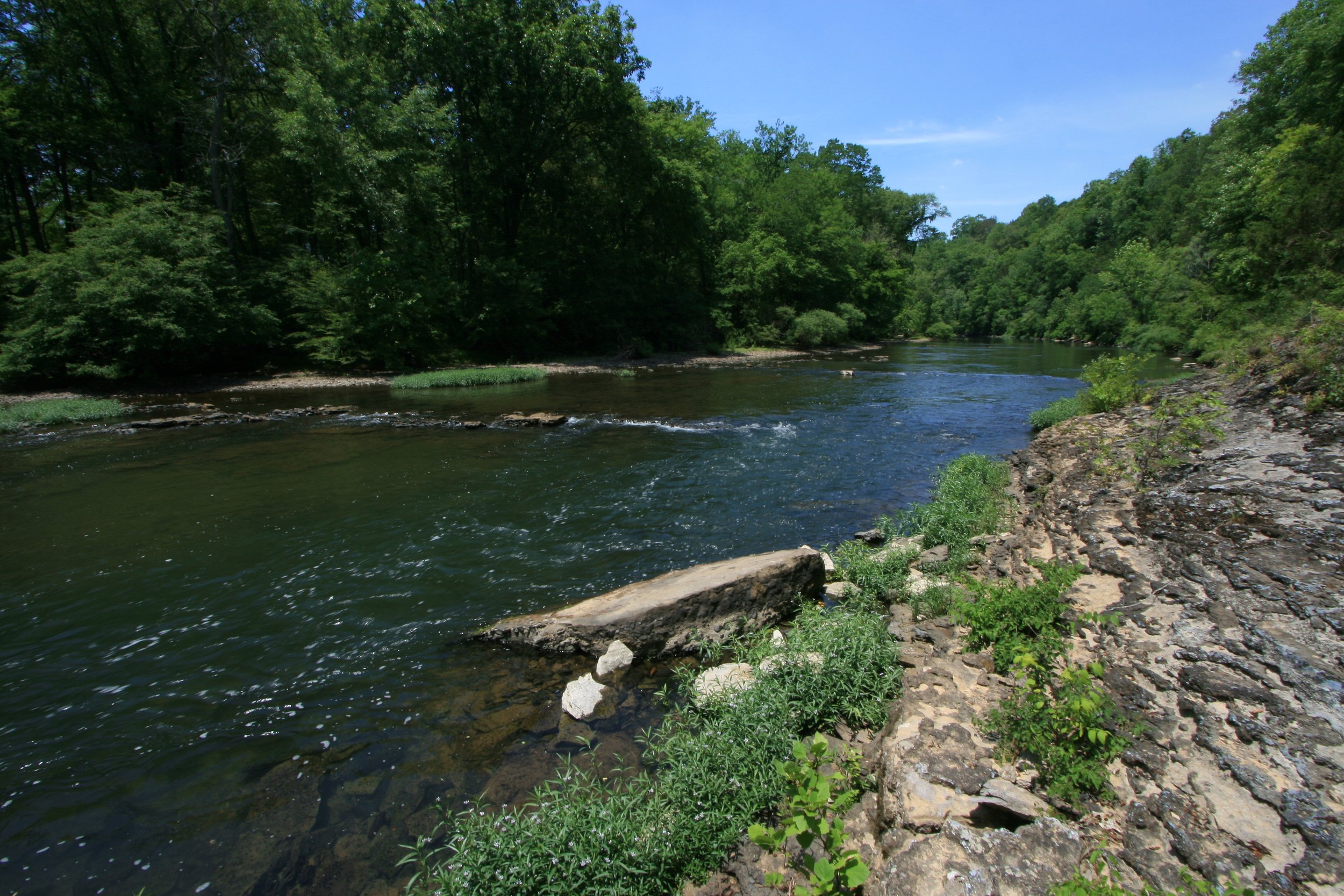 Highland Rim Grassland Gallery — Southeastern Grasslands Institute