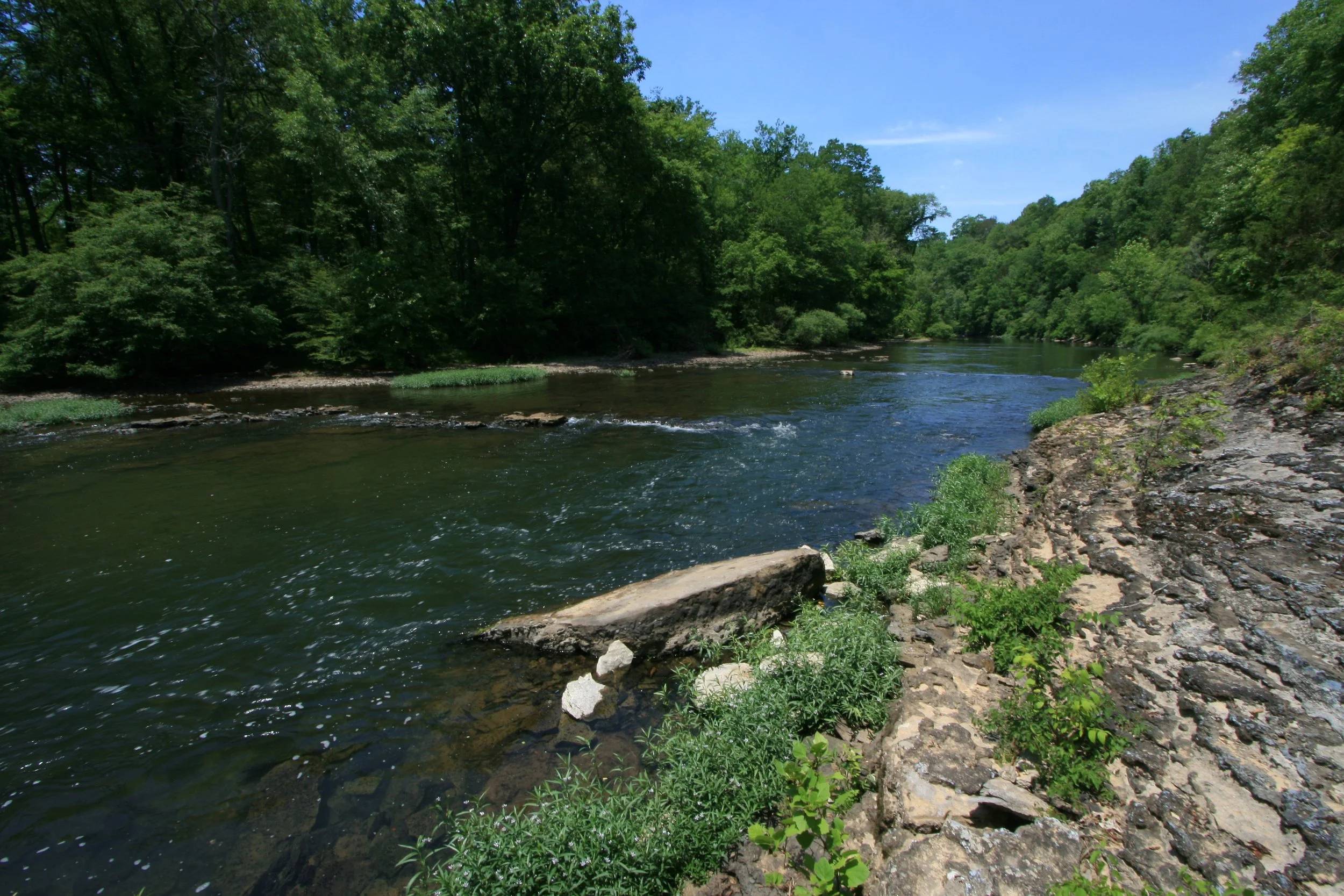 Eastern Highland Rim Limestone Riverscour Glade, Collins River, Warren Co., Tennessee