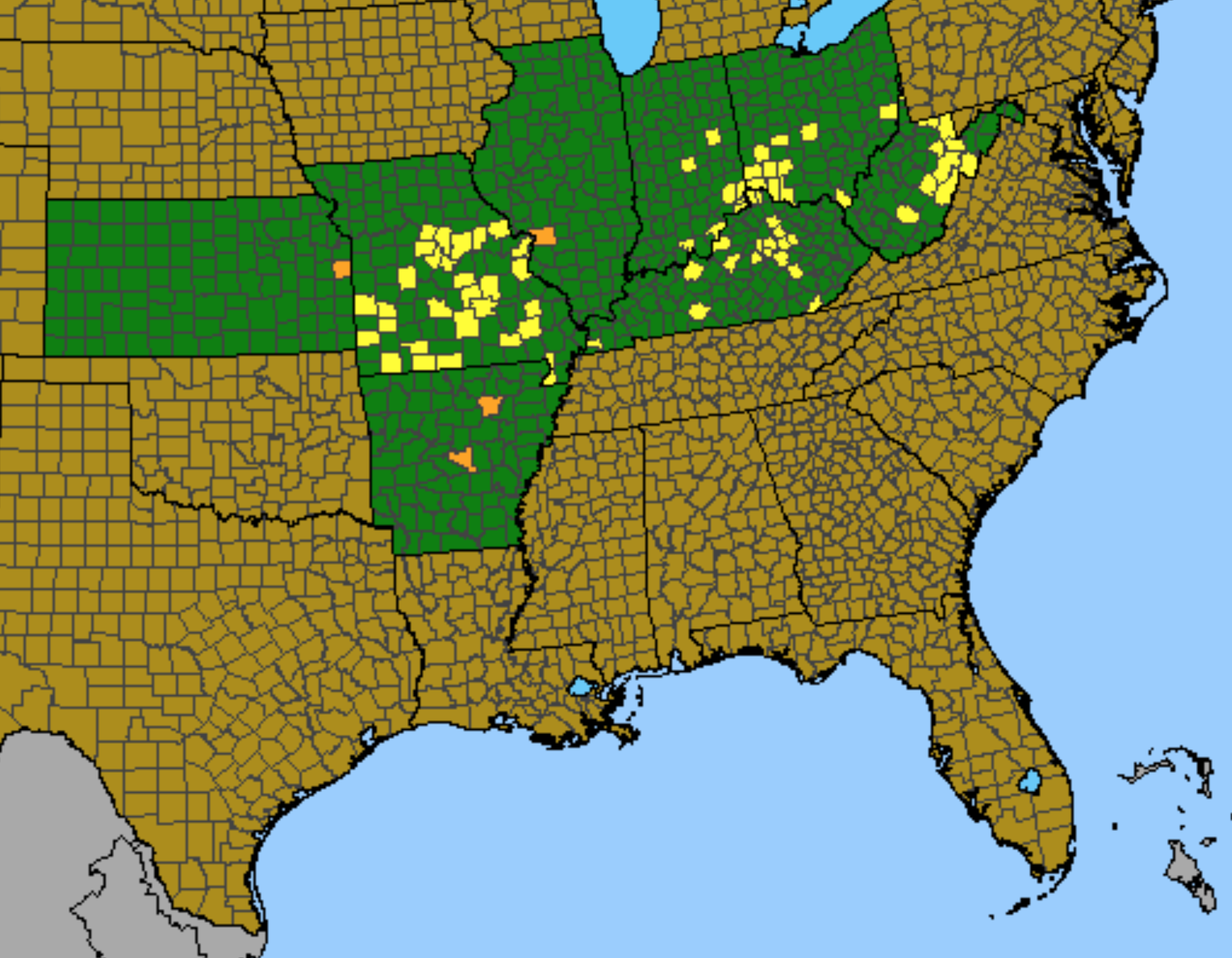 Range of Running Buffalo Clover Running Buffalo Clover is currently considered a Federally-Endangered species and is protected under the US Endangered Species Act by the U.S. Fish and Wildlife Service. It is currently known from scattered populations throughout the Ohio River Valley from West Virginia to the Ozarks and is most common in the Bluegrass Region of Kentucky where incidentally there are other sites known as "Clover Bottom." The species is thought to have declined drastically in the past two centuries after the loss of American Bison. Many of the species which serve as indicators for habitat of Running Buffalo Clover at known sites in Kentucky and Ohio are also commonly found on or near Stones River Bend Park, including Bur Oak, Chinkapin Oak, and MacGregor's Wild Rye. We will dedicate a significant amount of time searching for this species to see if we can uncover the true species behind "Clover Bottom." Such a find would be a true conservation victory and would add a significant element of importance to the biodiversity and ecology of Stones River Bend Park. 
